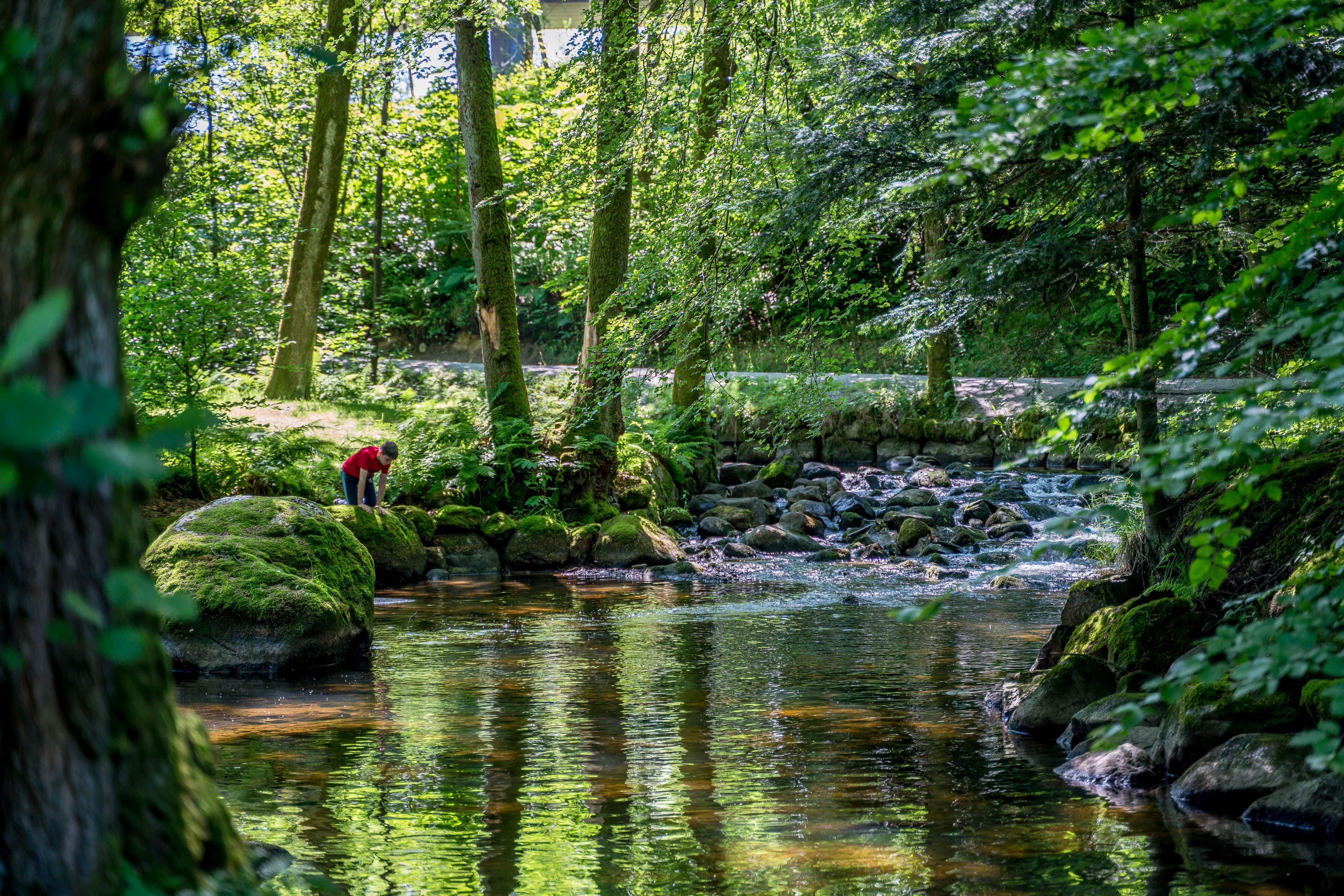 Storåna i Sandvedparken
