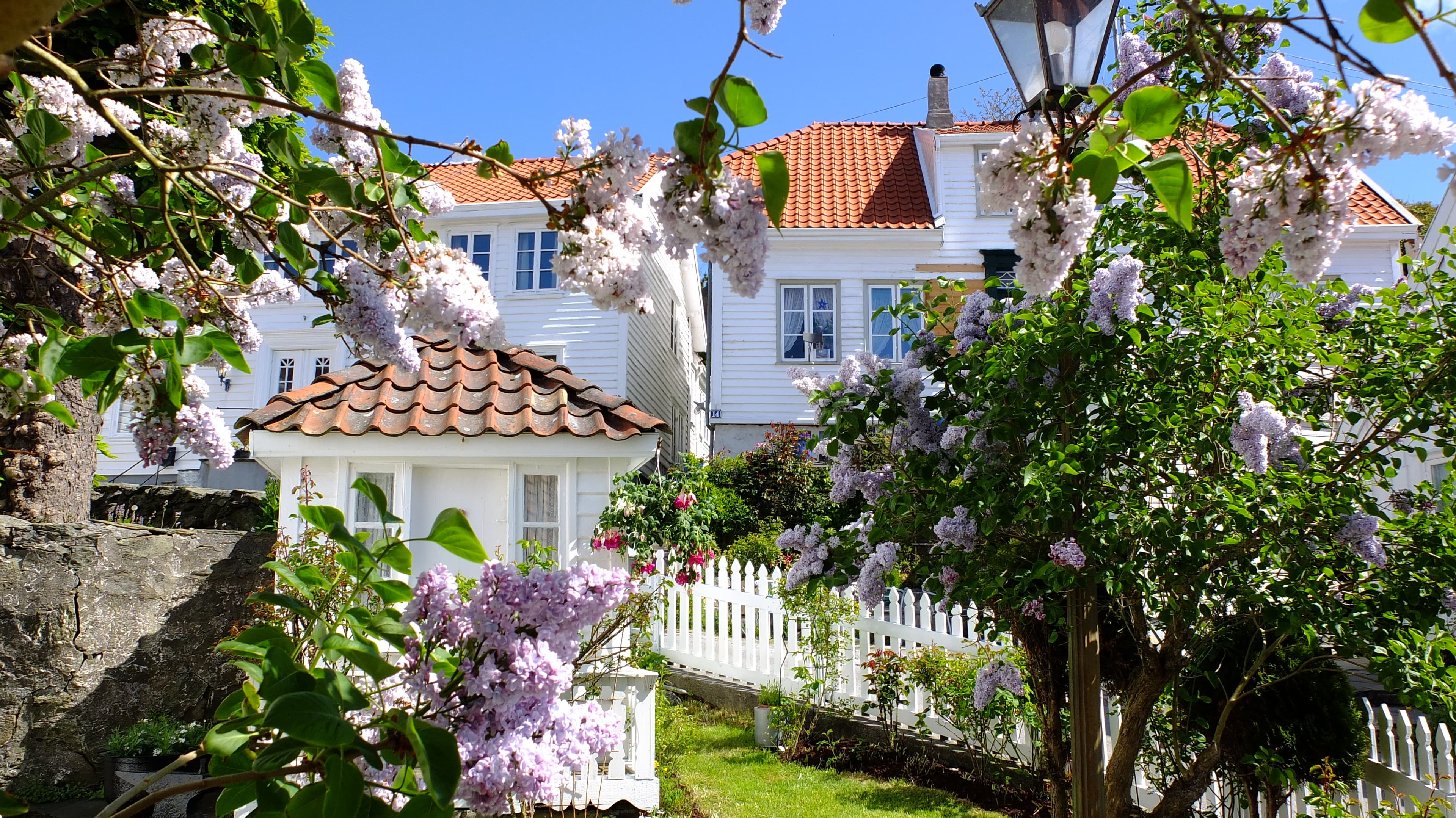 Skudeneshavn