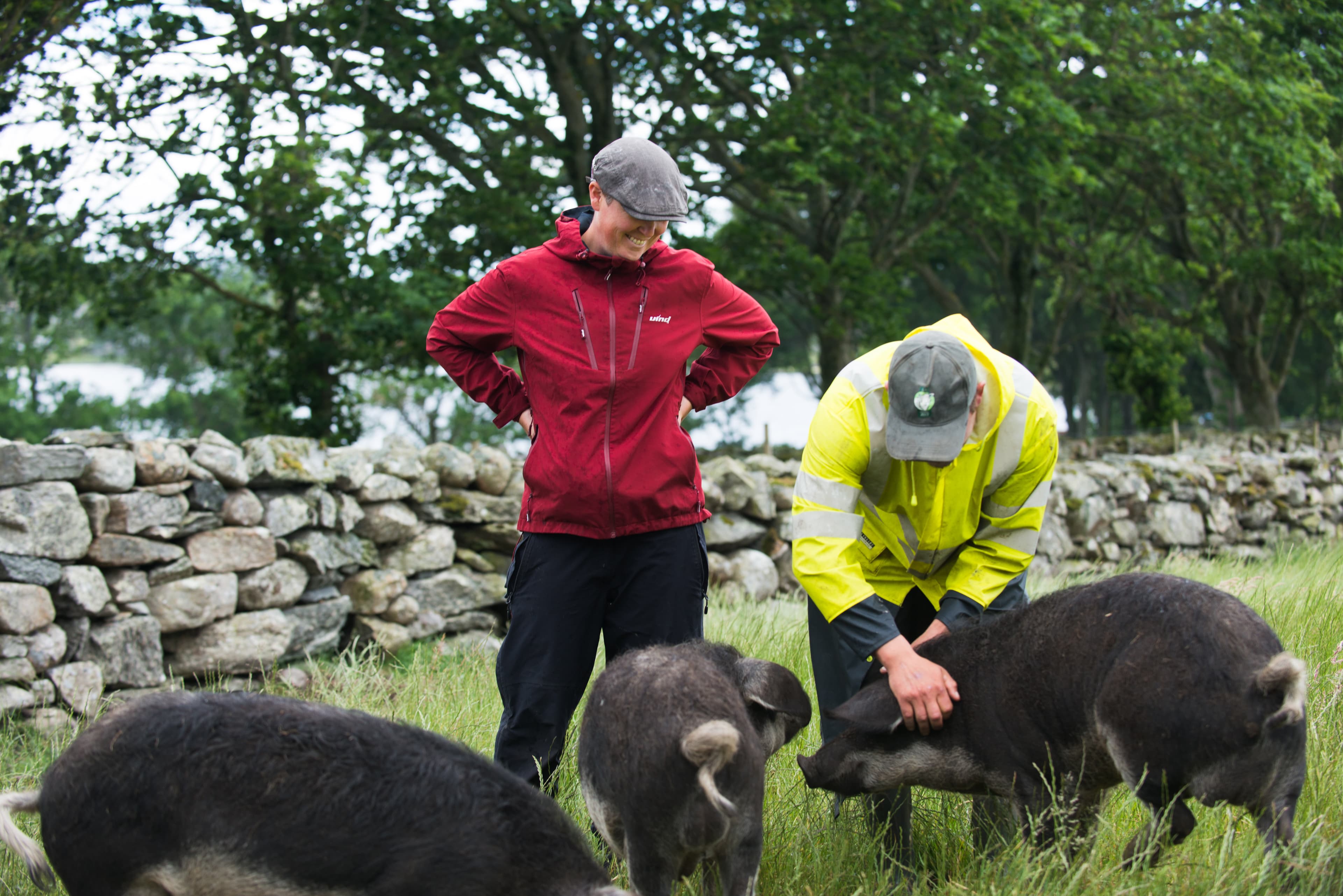 Skogsgriser på Utstein Gard