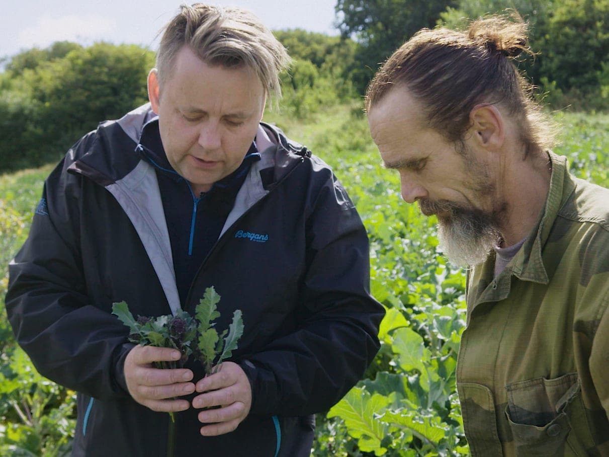 Vegetable harvesting at Brimse