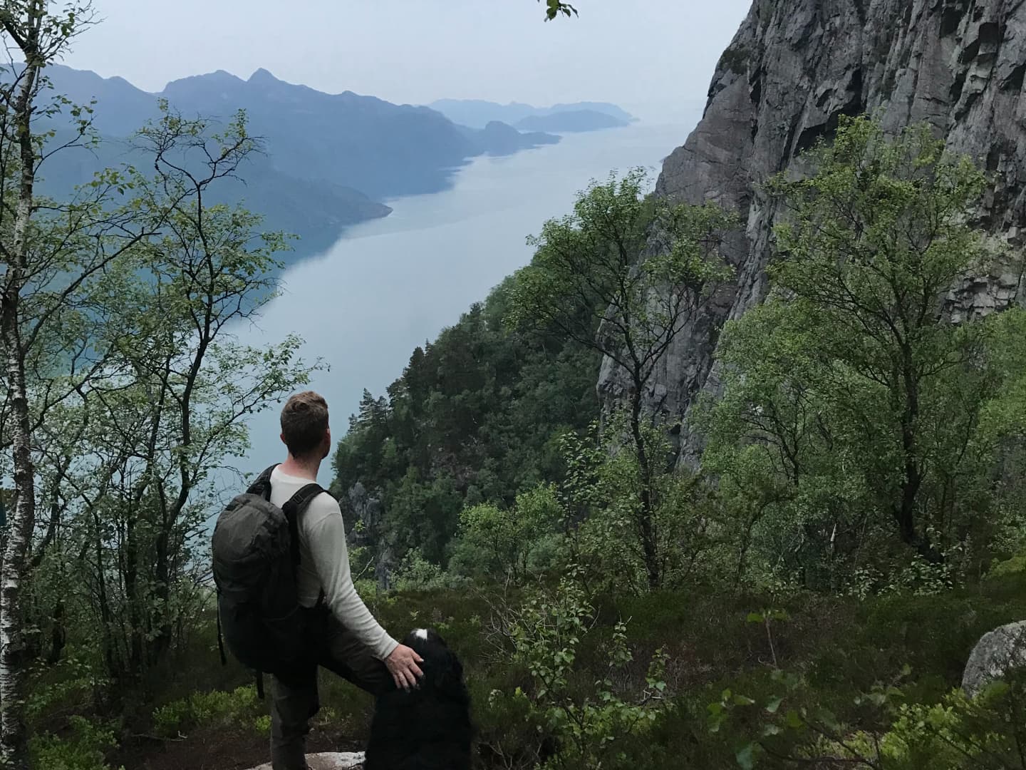 Man and his dog looking out over the fjord from between the green trees on the mountain side
