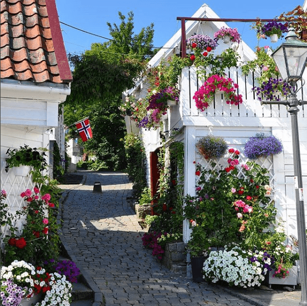 Gate i Gamle Stavanger pyntet med fargerike blomster og norsk flagg