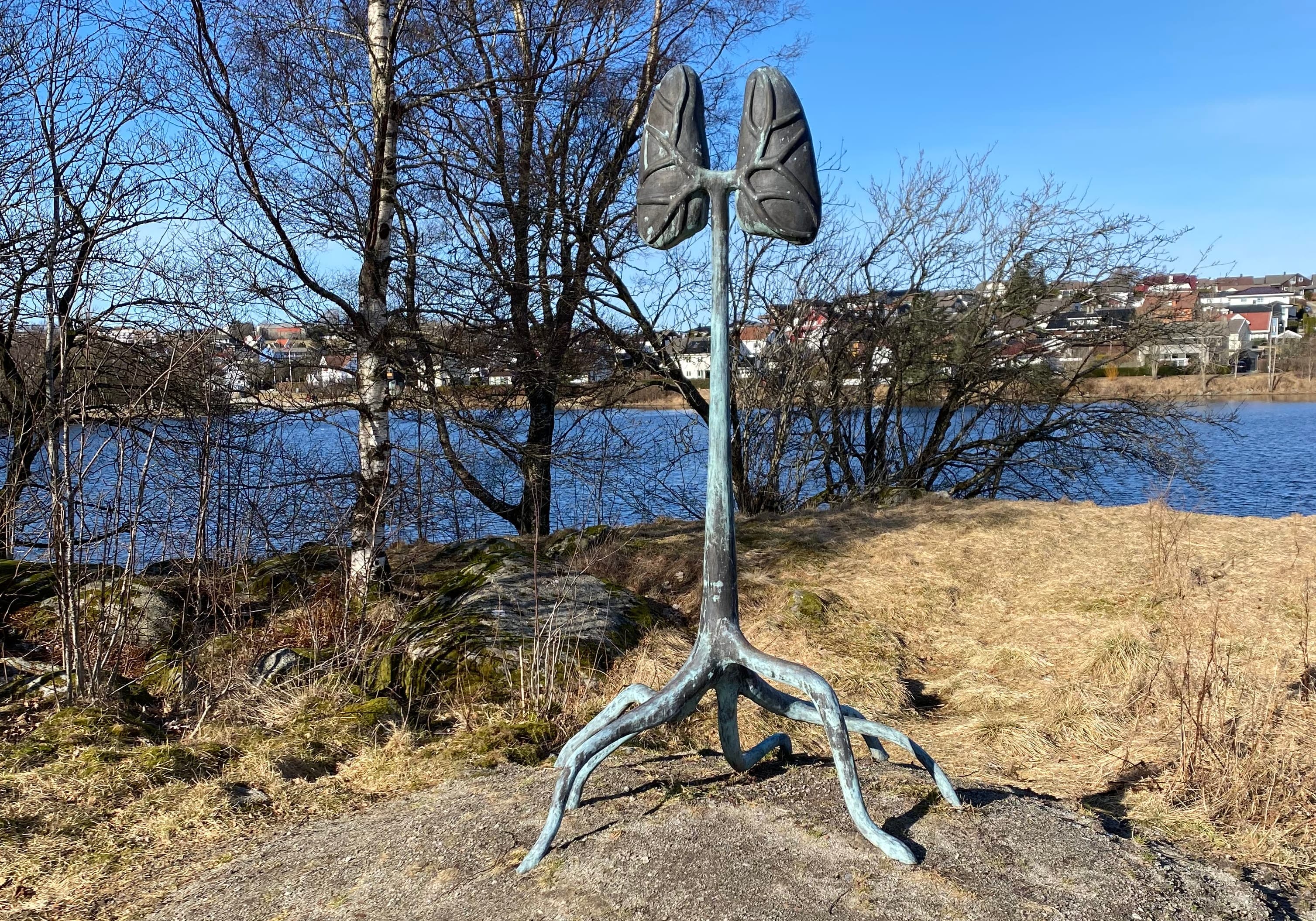 Monument Maskinistens lunger med Stokkalandsvannet i bakgrunnen.