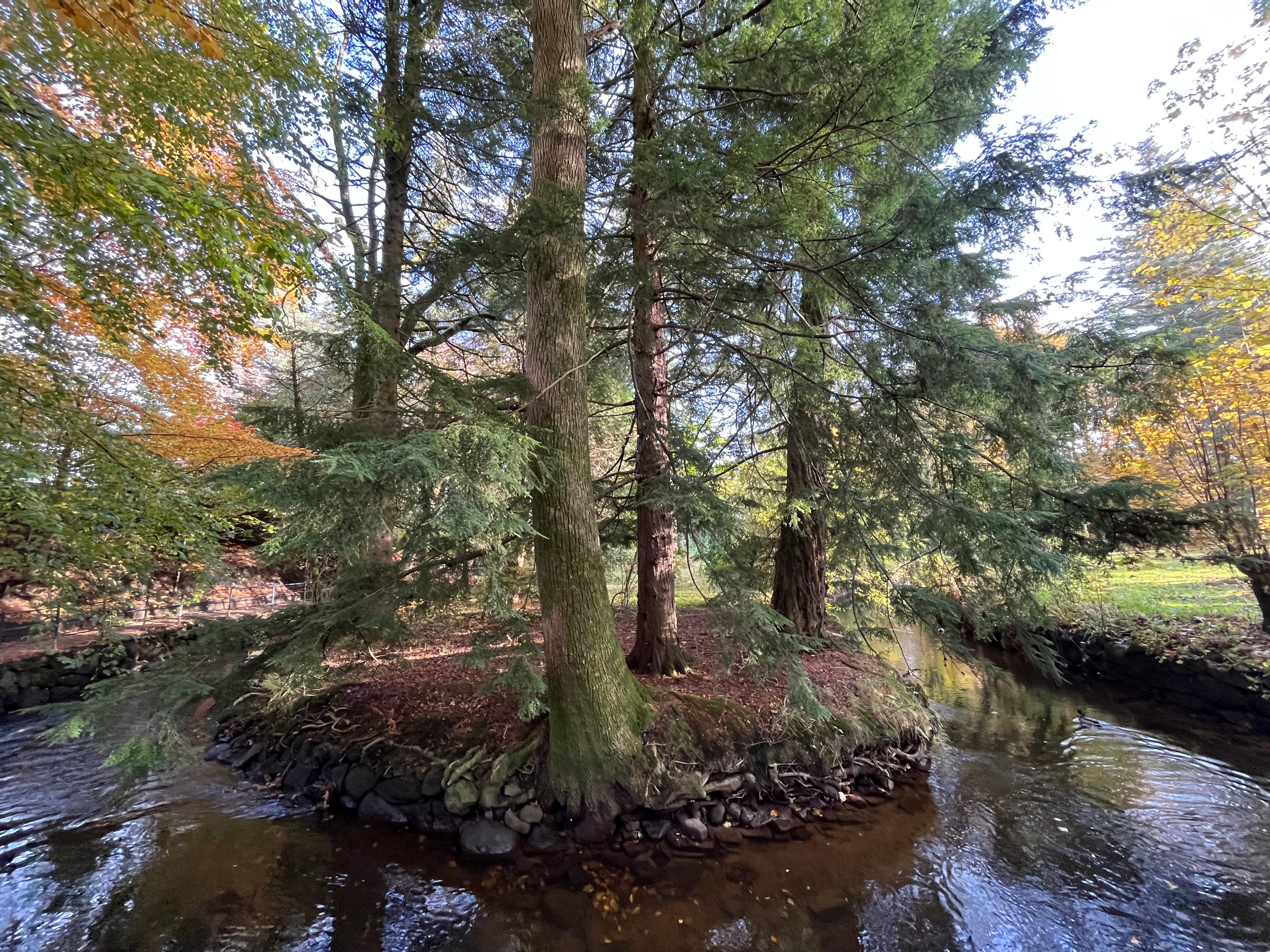 Trær og elv og høstfarger i Sandvedparken