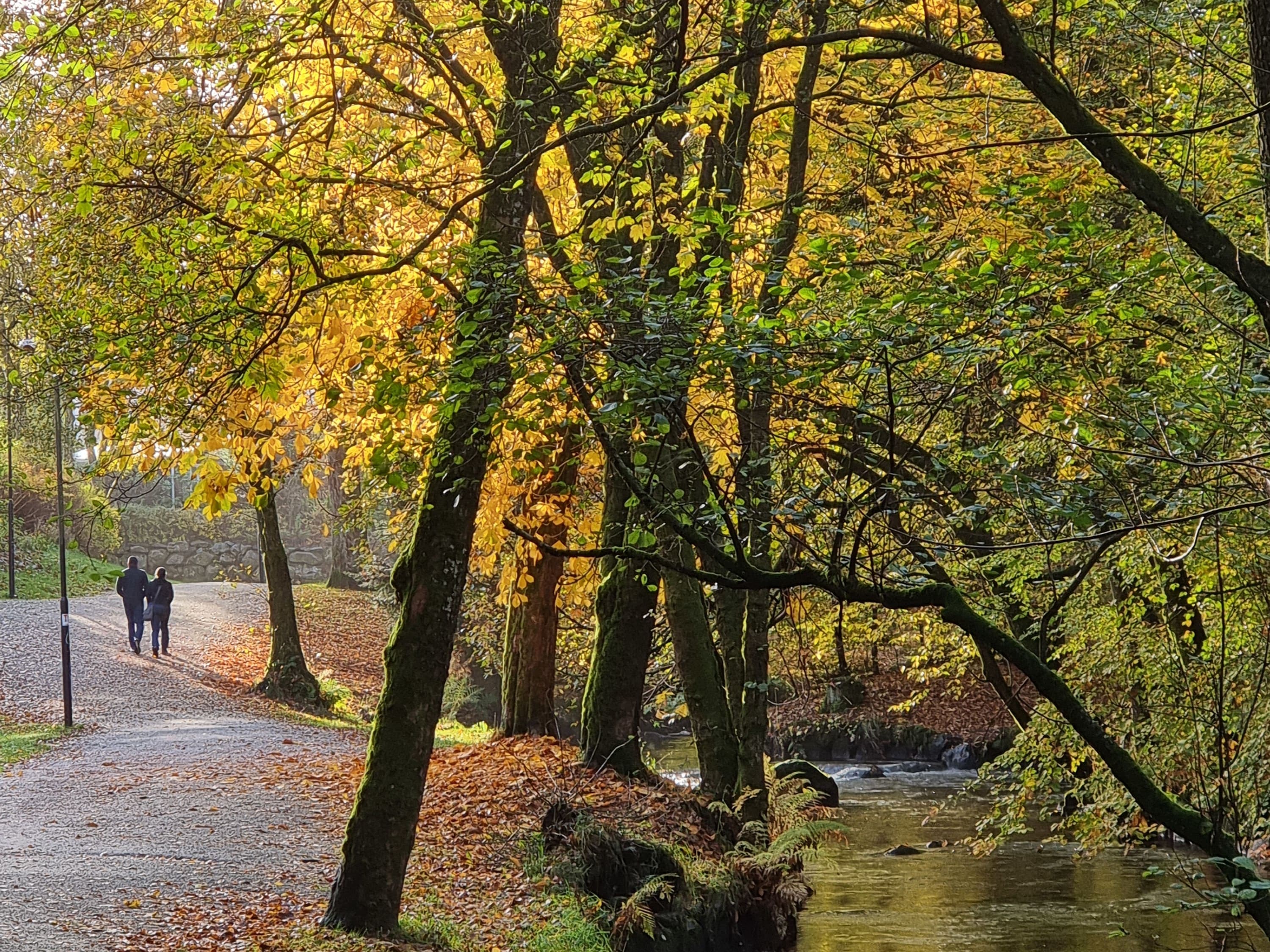 Sandvedparken med elv, trær og sti med høstløv på bakken.