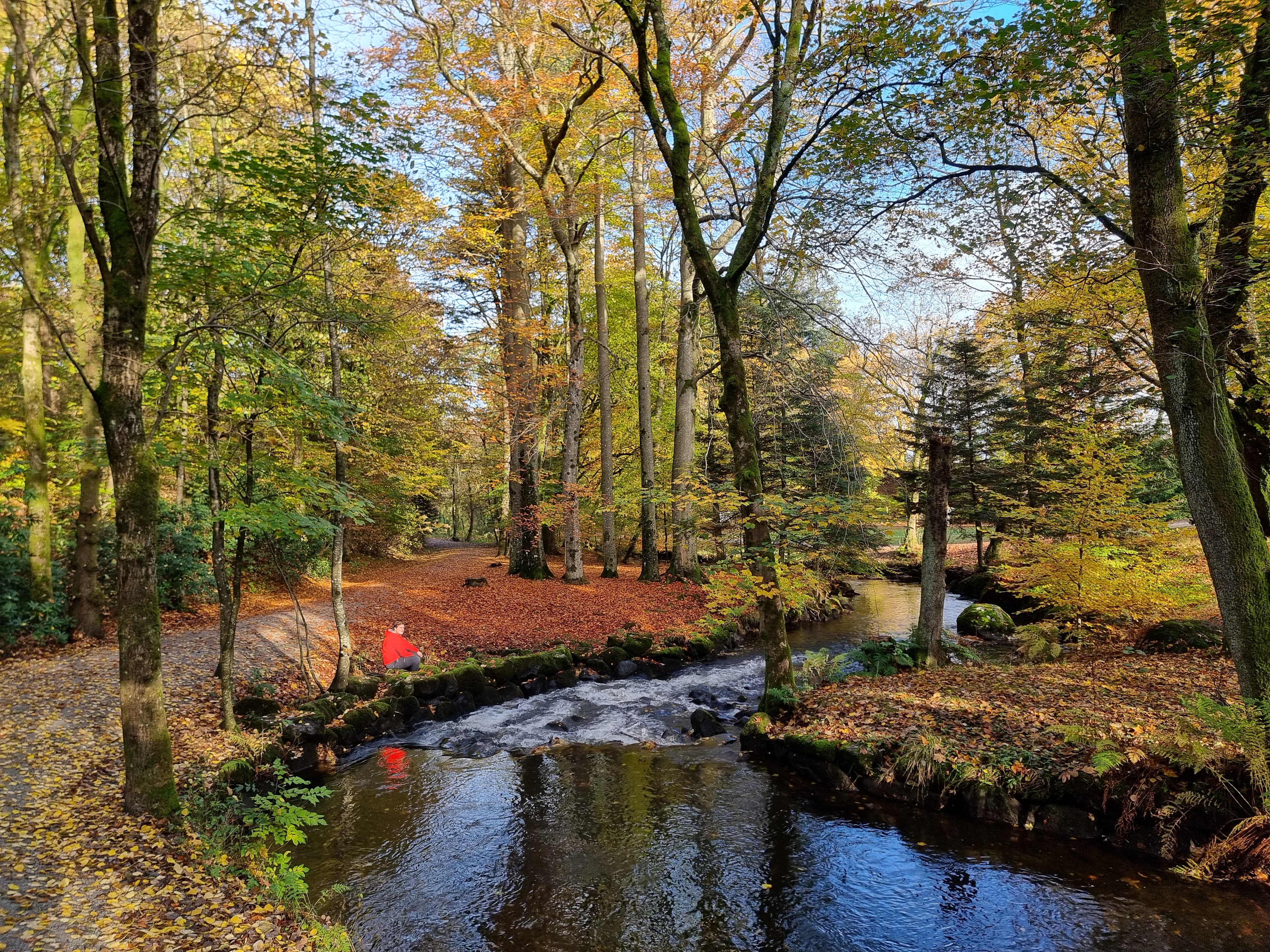 Sandvedparken i høstfarger med elv som renner gjennom. Høstfarger og person i rød jakke langs elven.
