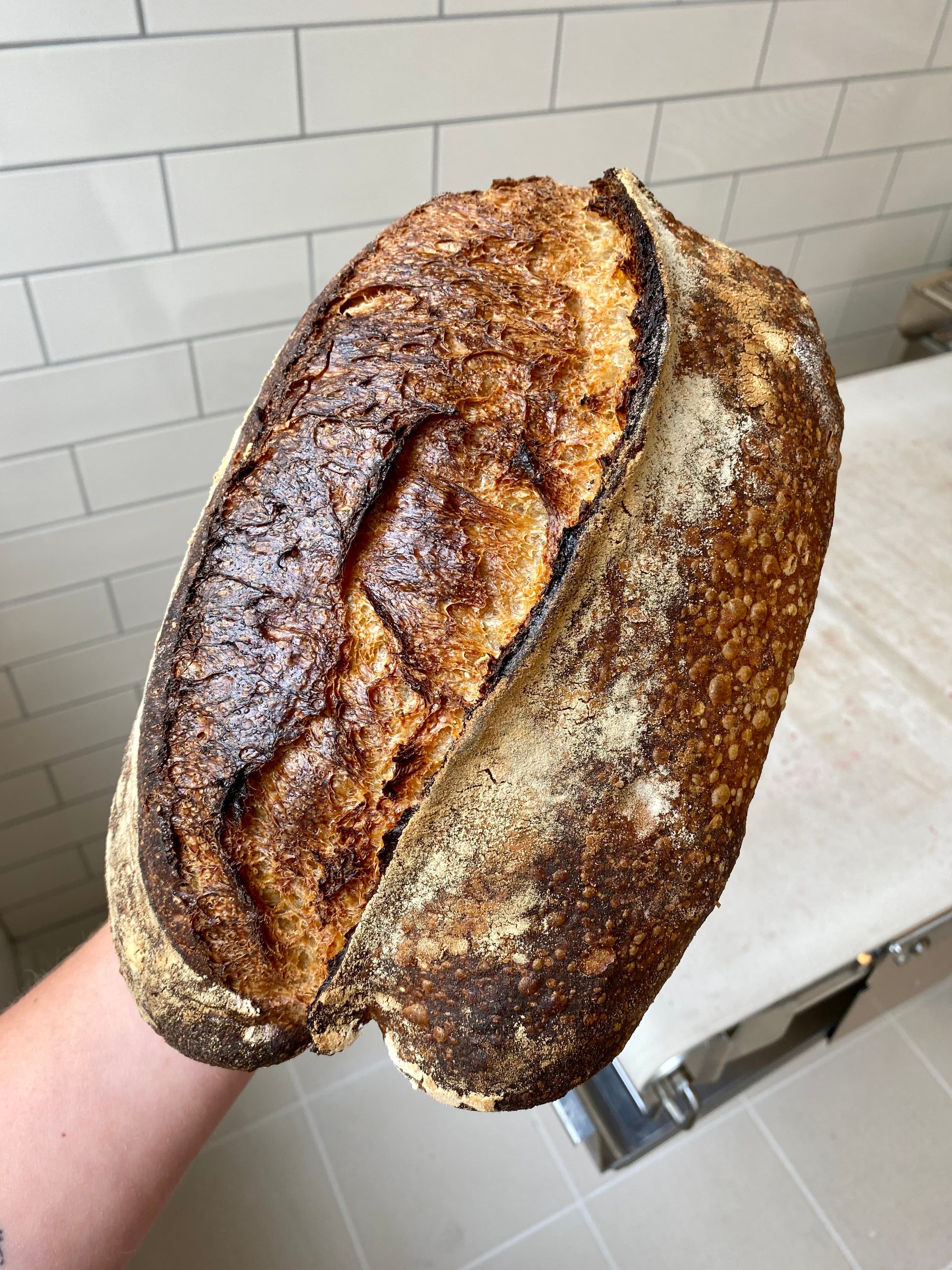 Landbrød holdt i hånden