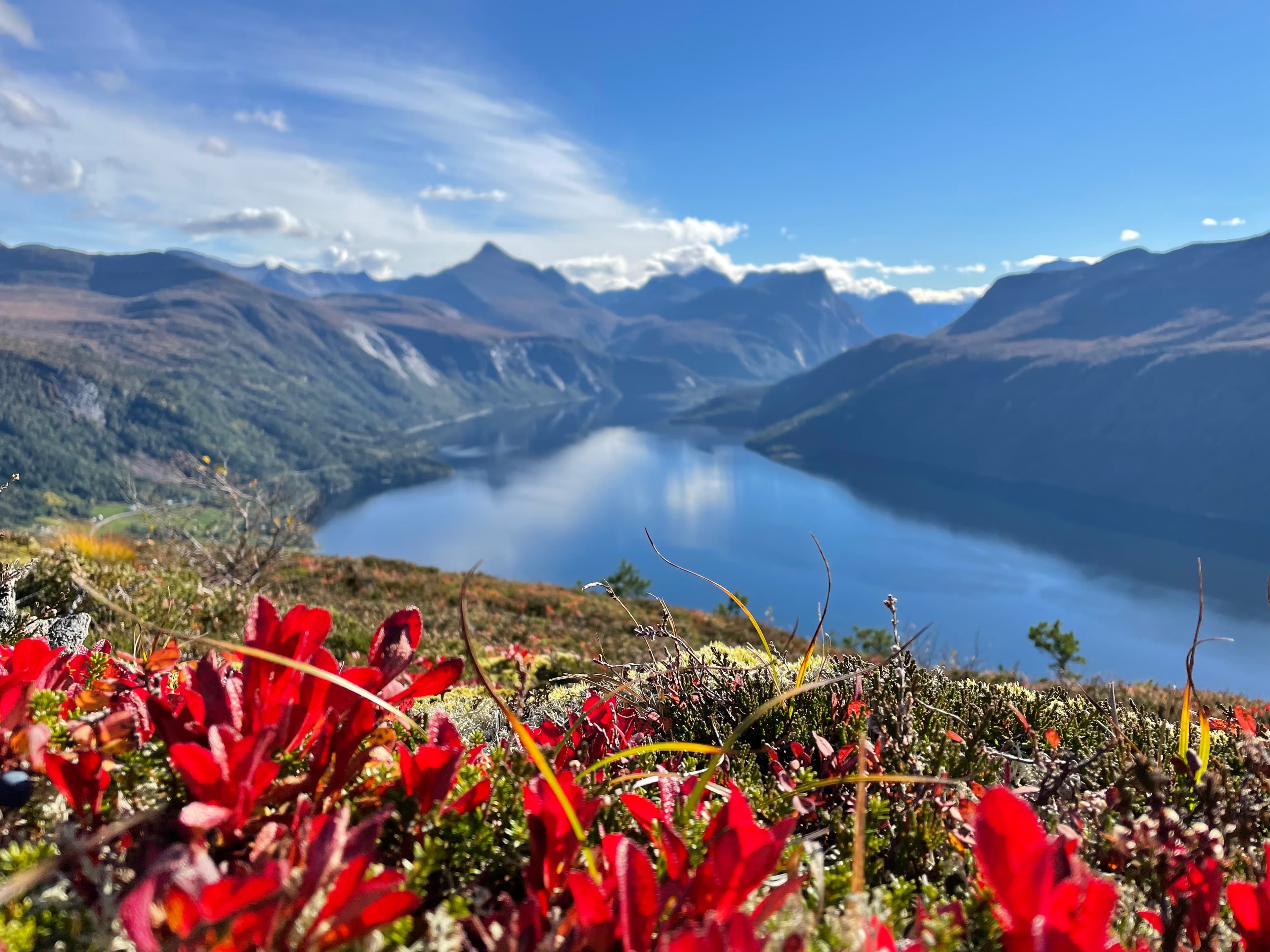 Eidsvågtraversen prestaksla