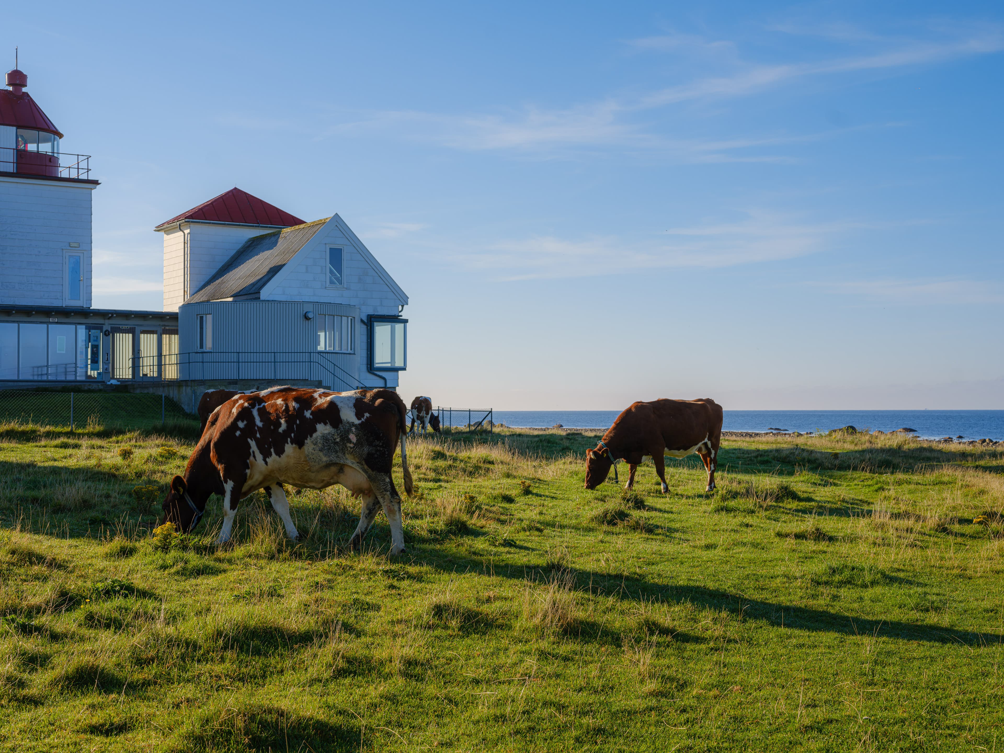 Friluftsfyret Kvassheim