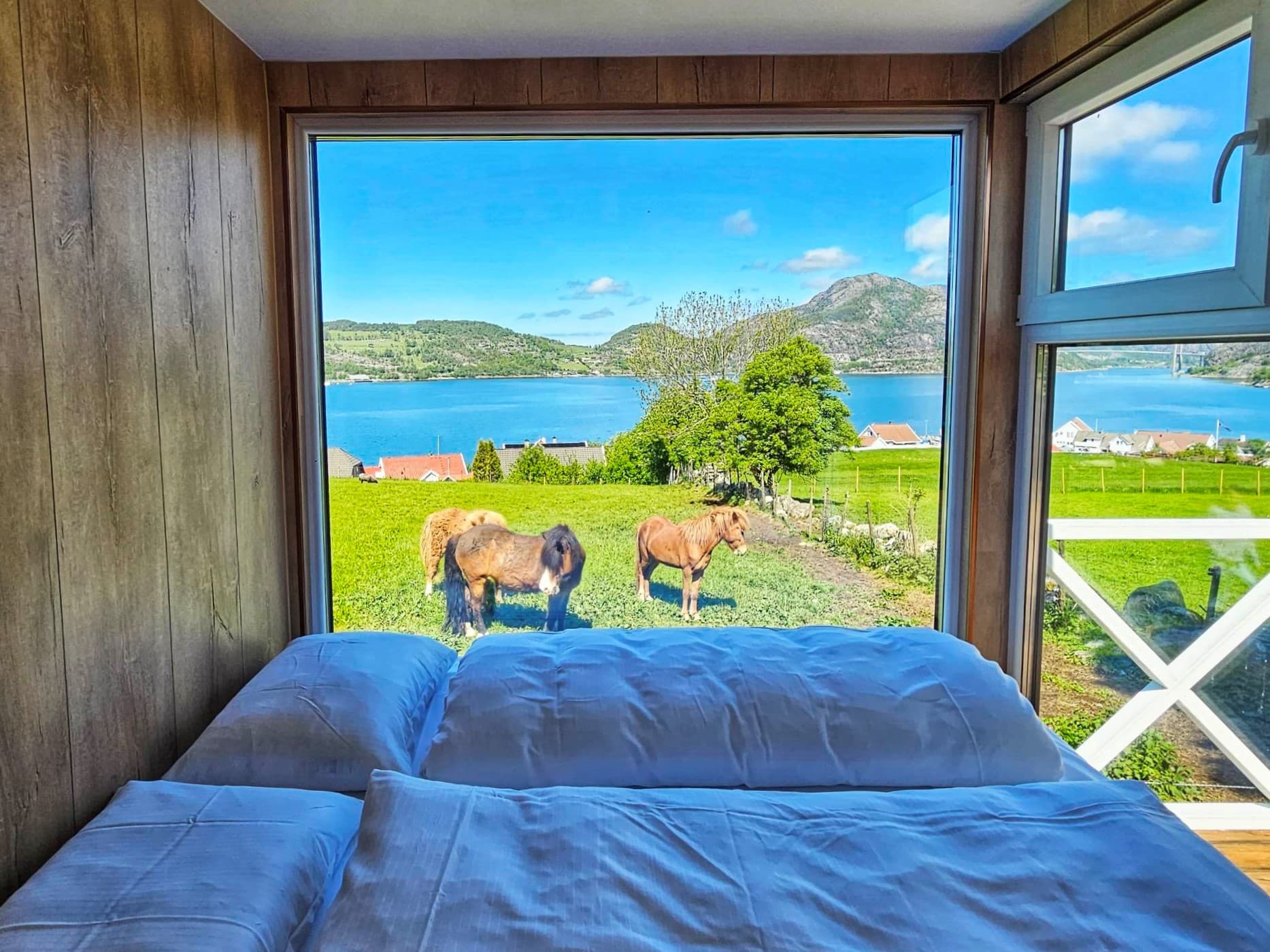 Fjordutsikt og hester fra minihyttene på Gøysa Gard.