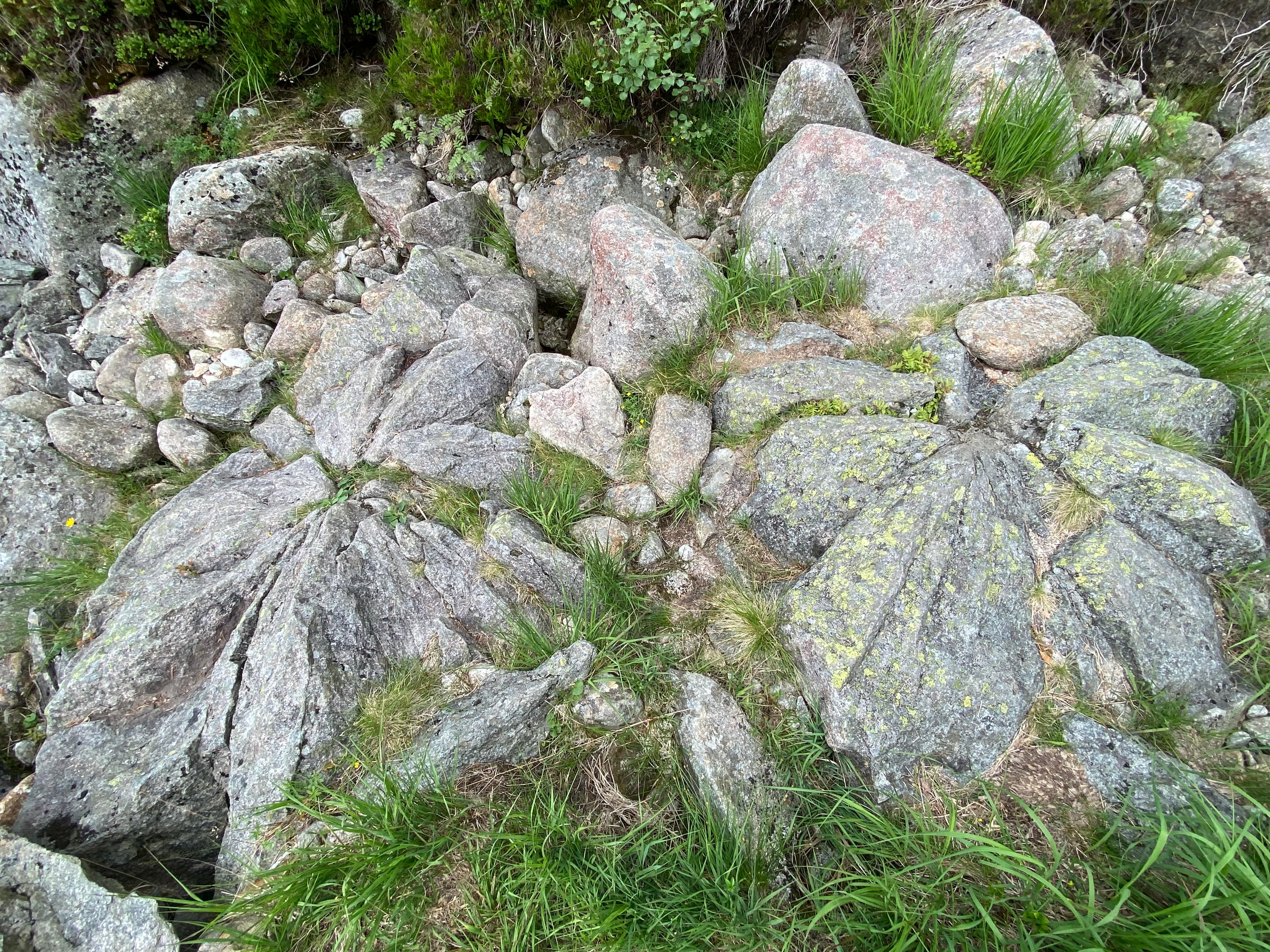 To steinformasjoner, som ser ut som roser.