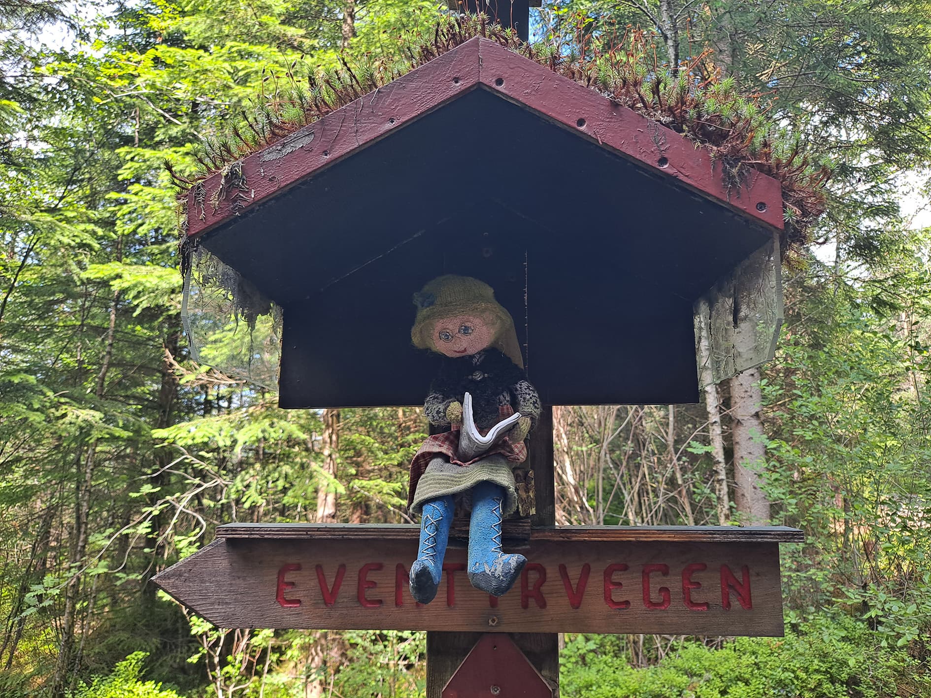 Tøydokke som leser bok og sitter oppå et treskilt. skog, mose