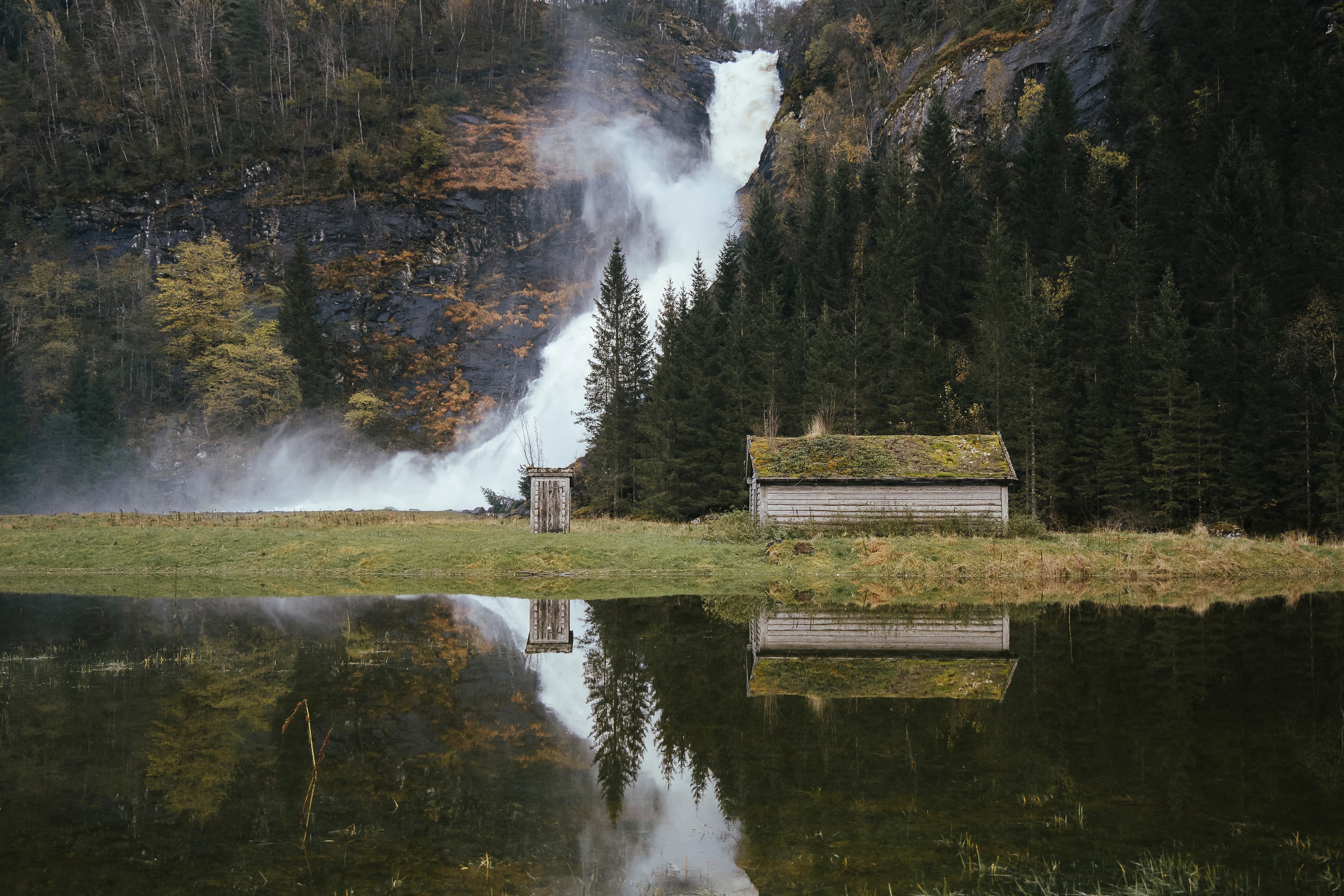 foss, bygg, refleksjoner, tre, skog