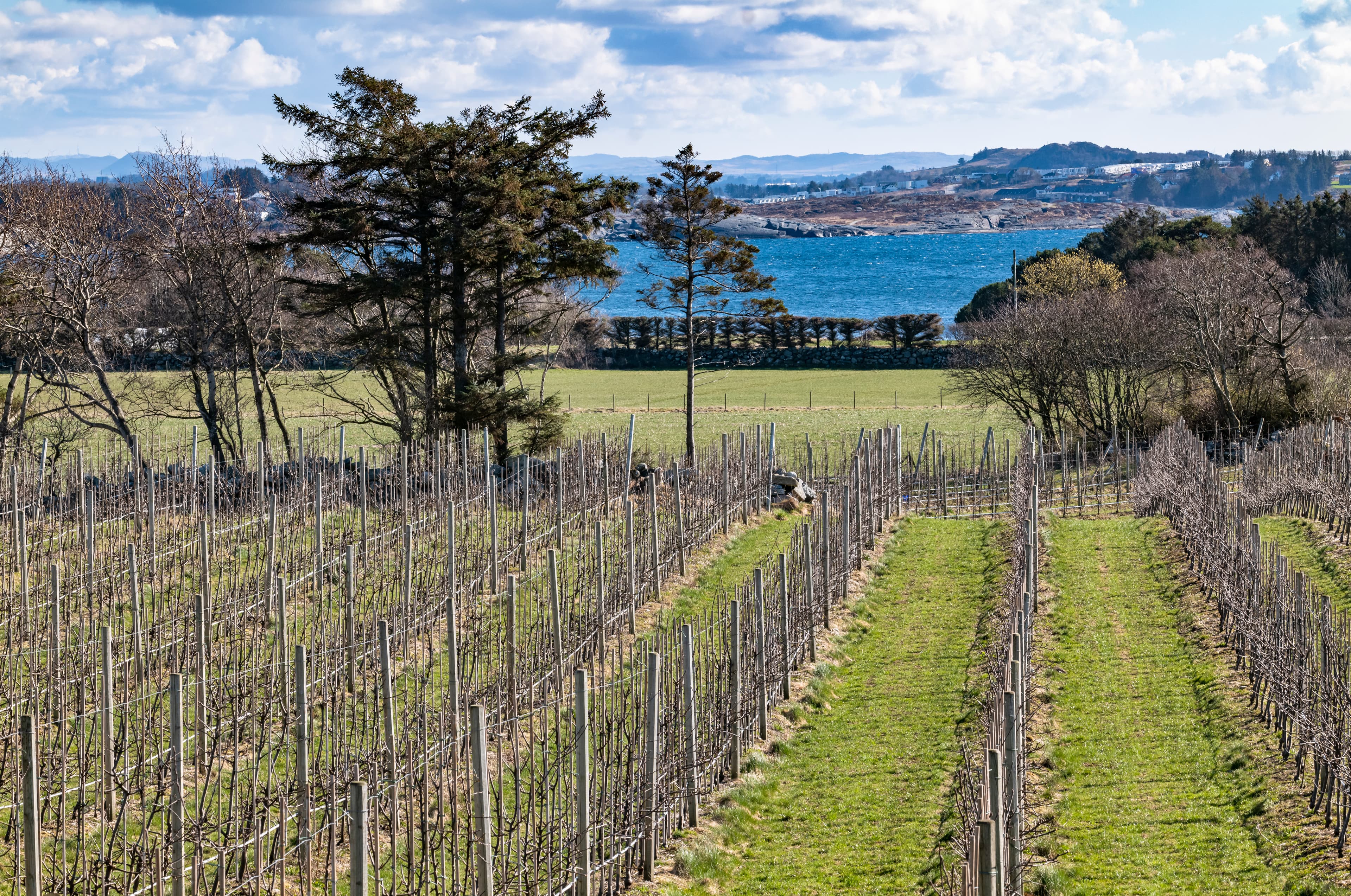 Apples, cider, apple juice, apple farm, honey production, jam production