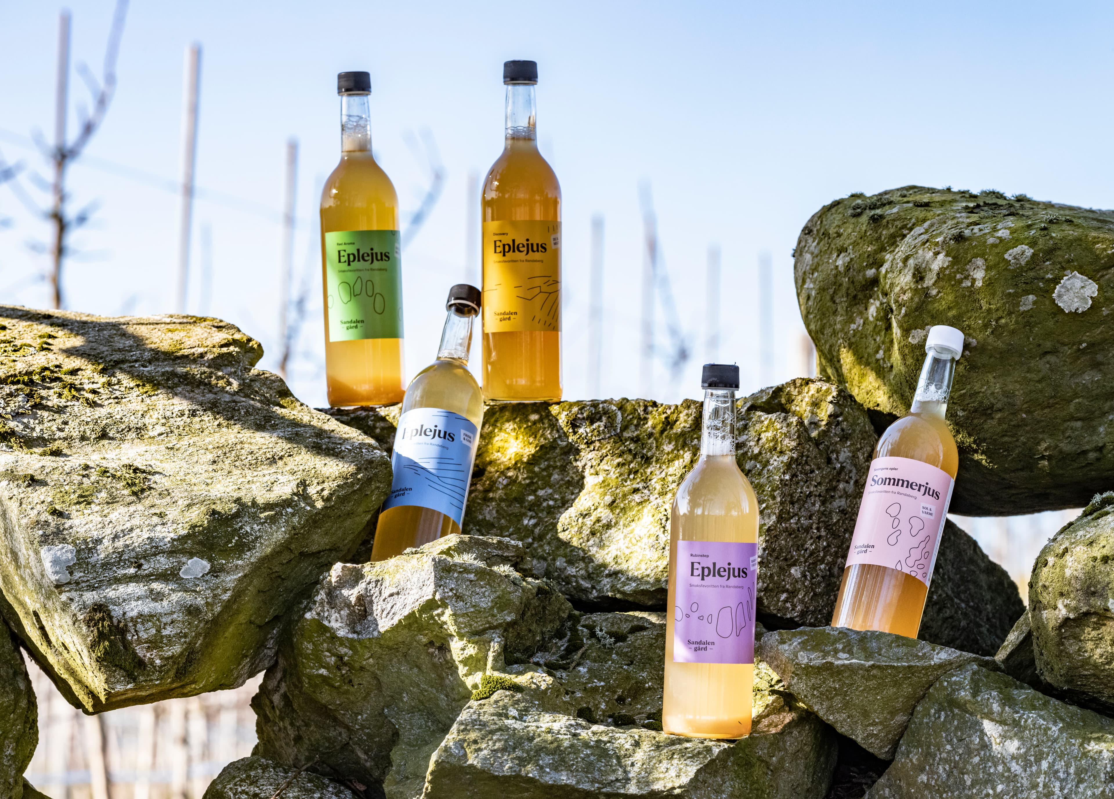 Apples, cider, apple juice, apple farm, honey production, jam production