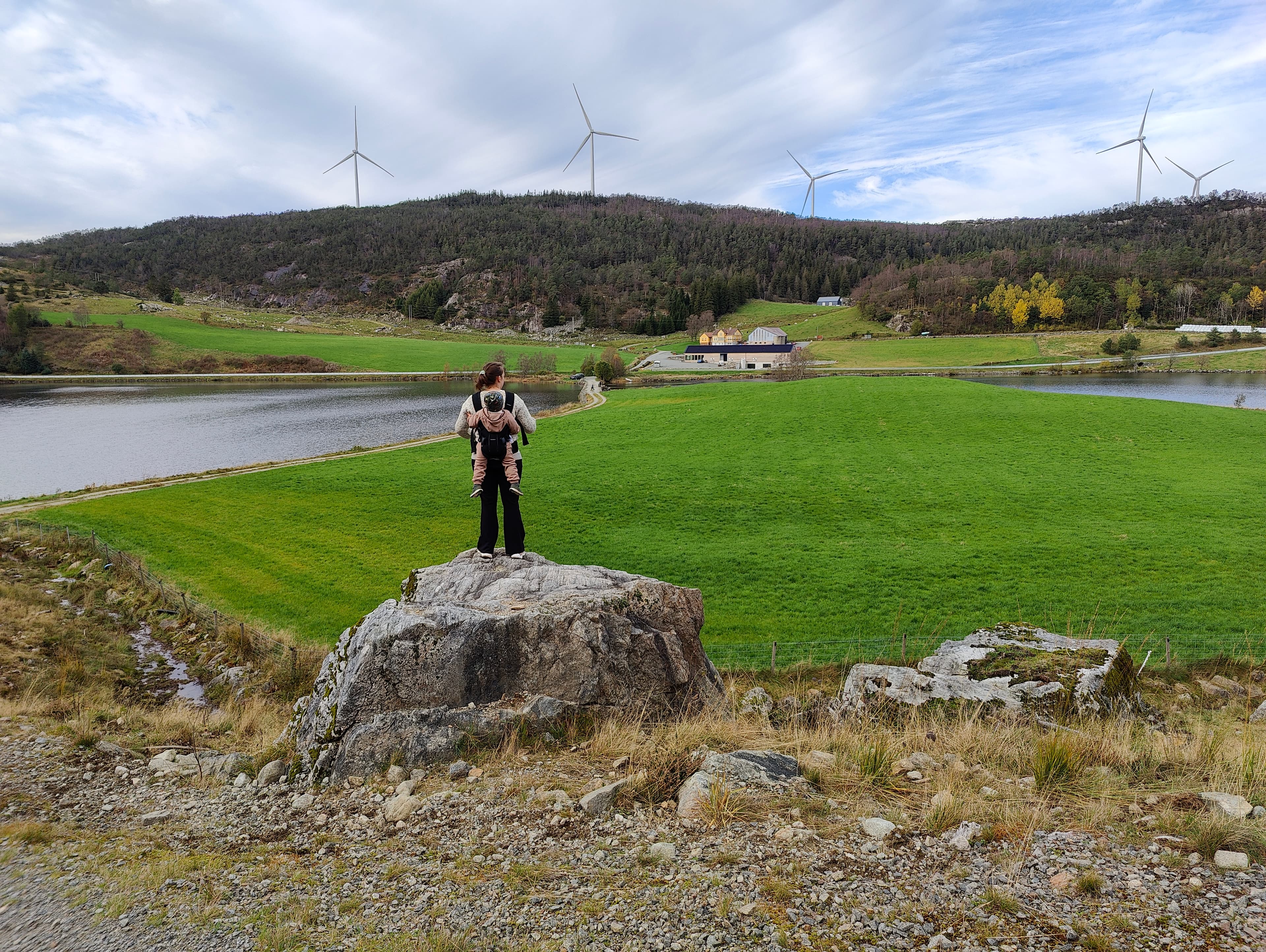 Farmland at the farm - Nyyyt, Røysland Gård farm outlet and restaurant