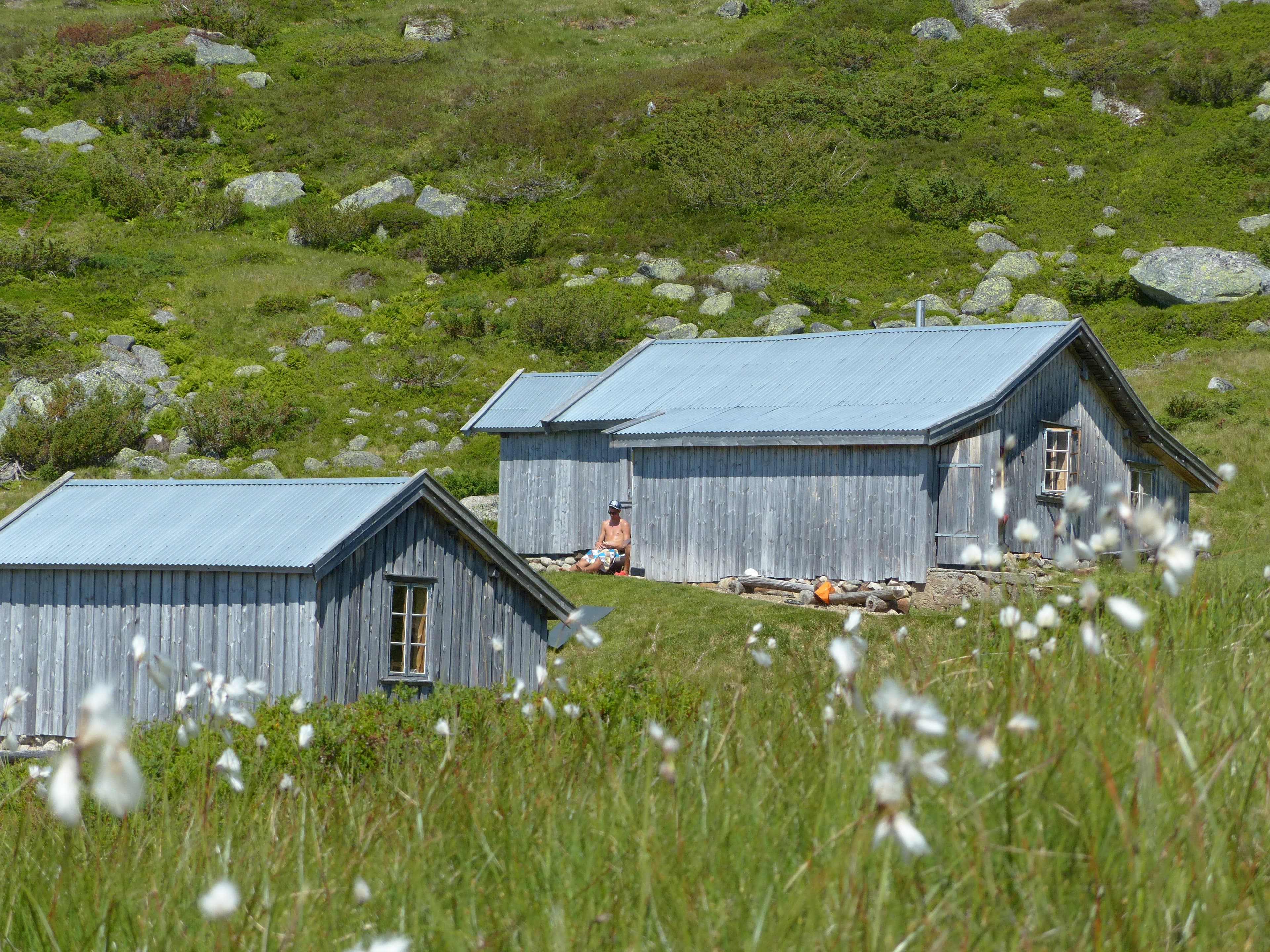 Three grey wooden cabins in the mountains surrounded by green nature