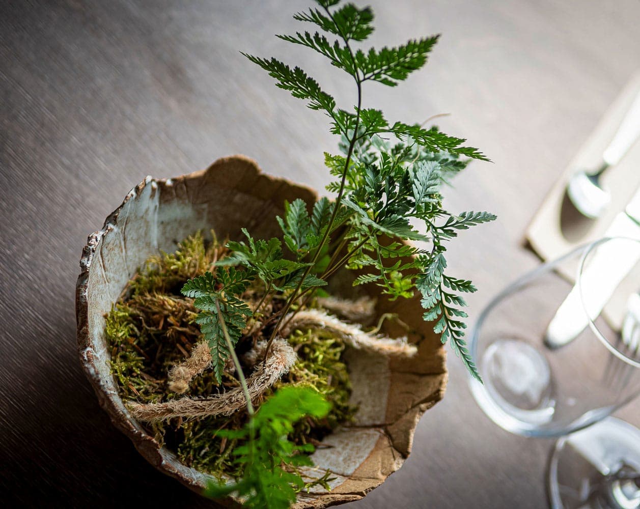 Food and people eating at restaurant Bellies - vegan restaurant