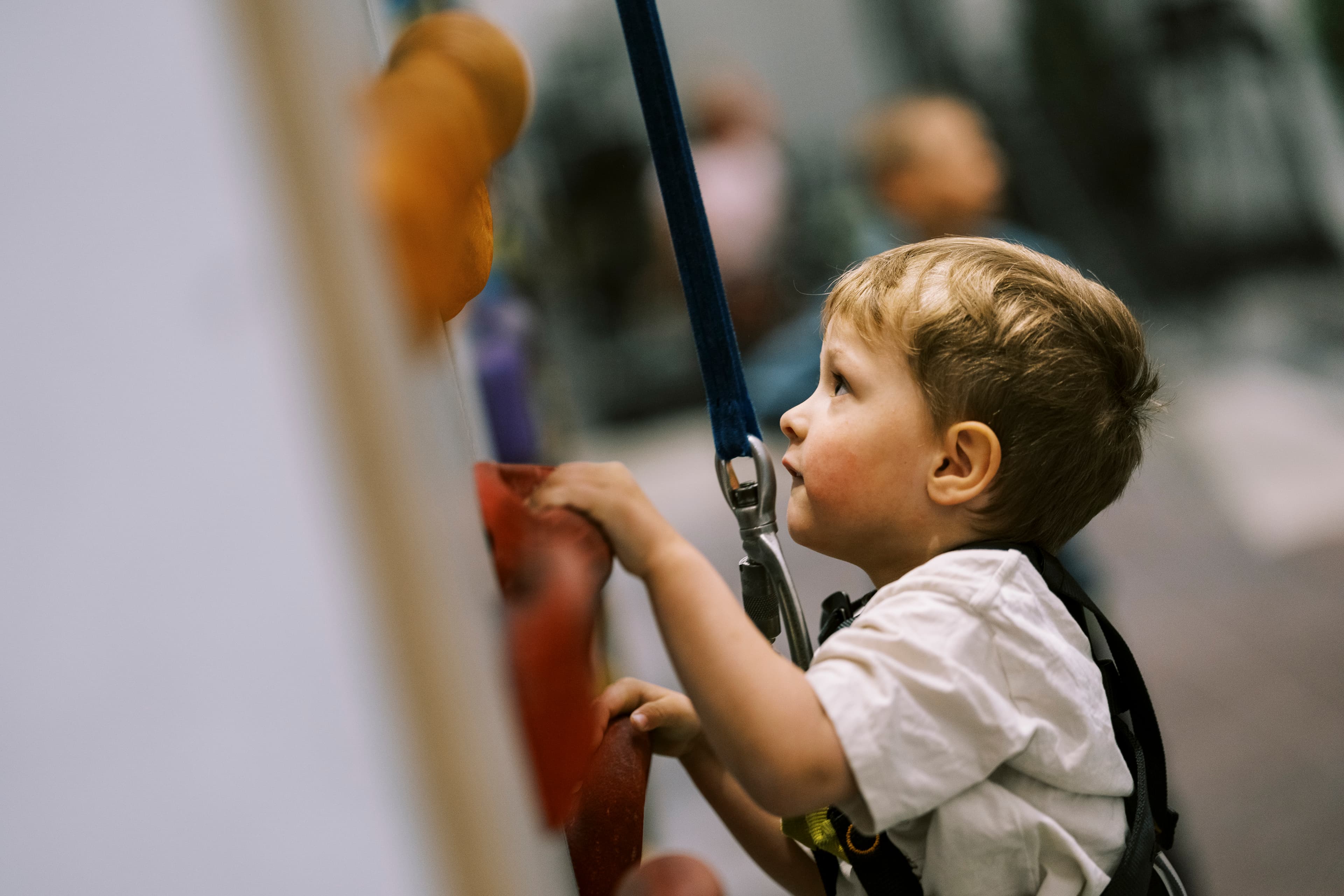 Small child climbing with harness in inside playpark Playground