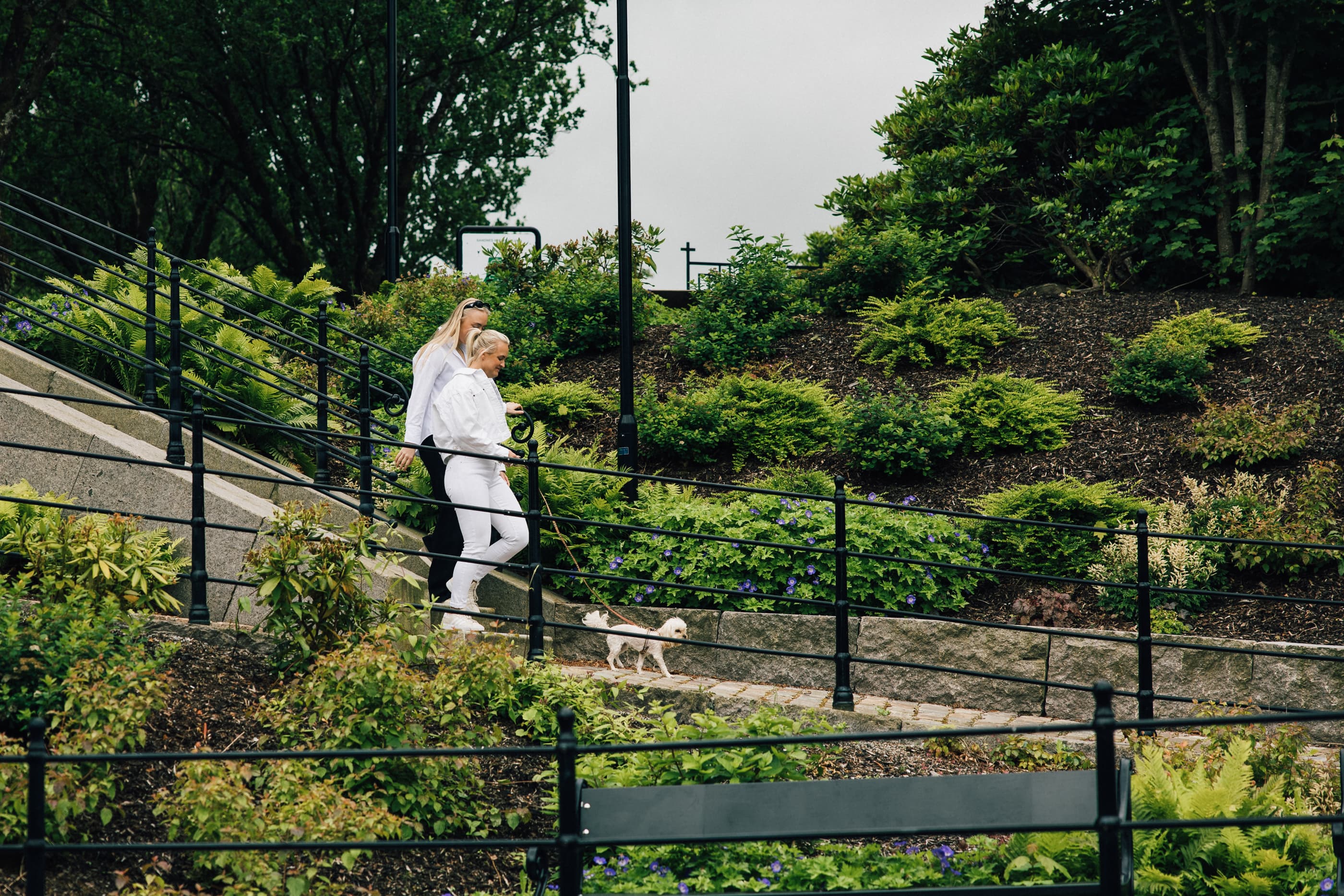 Two women and dog walking along Stangelandsåna in Sandnes