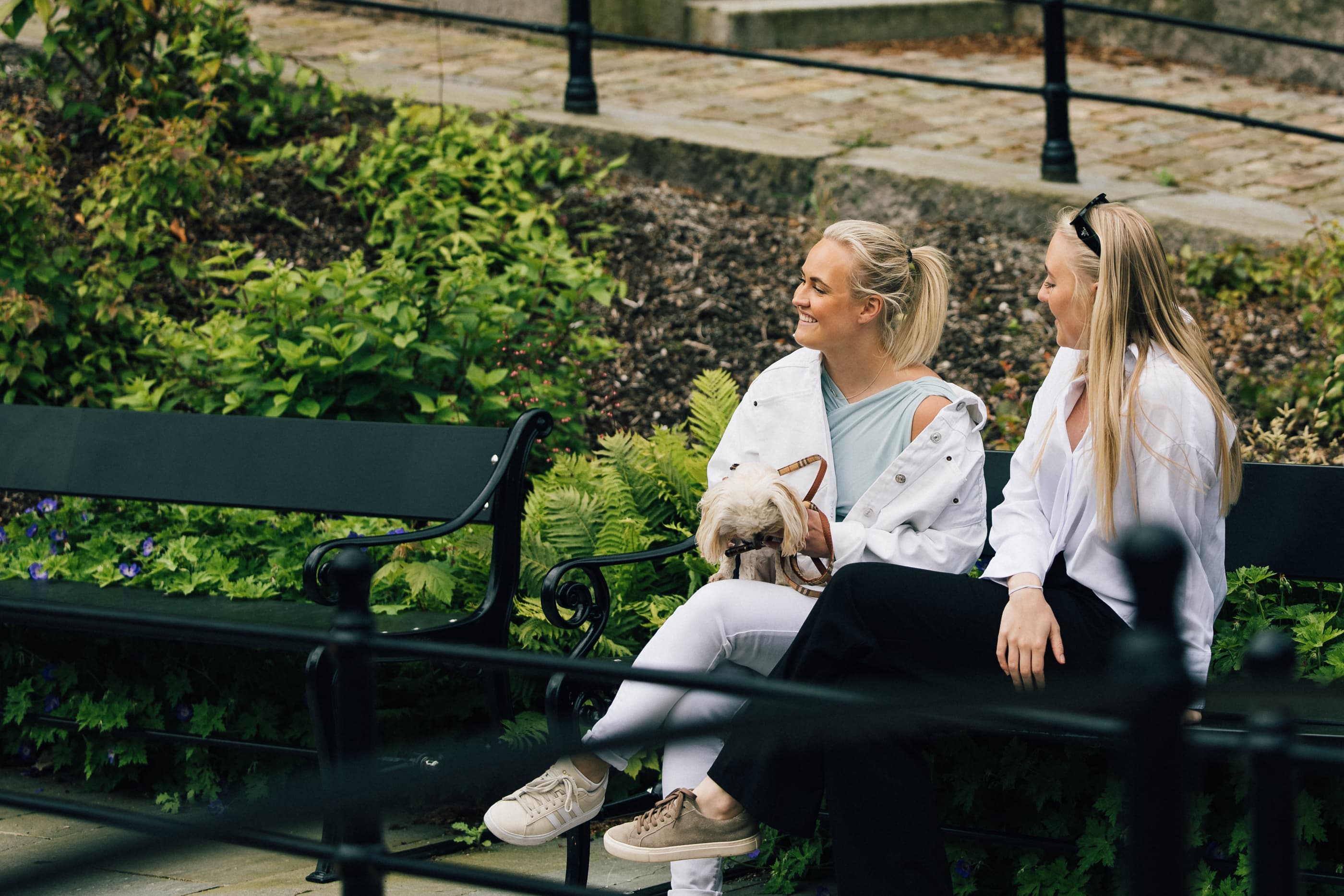 Two women and dog walking along Stangelandsåna in Sandnes
