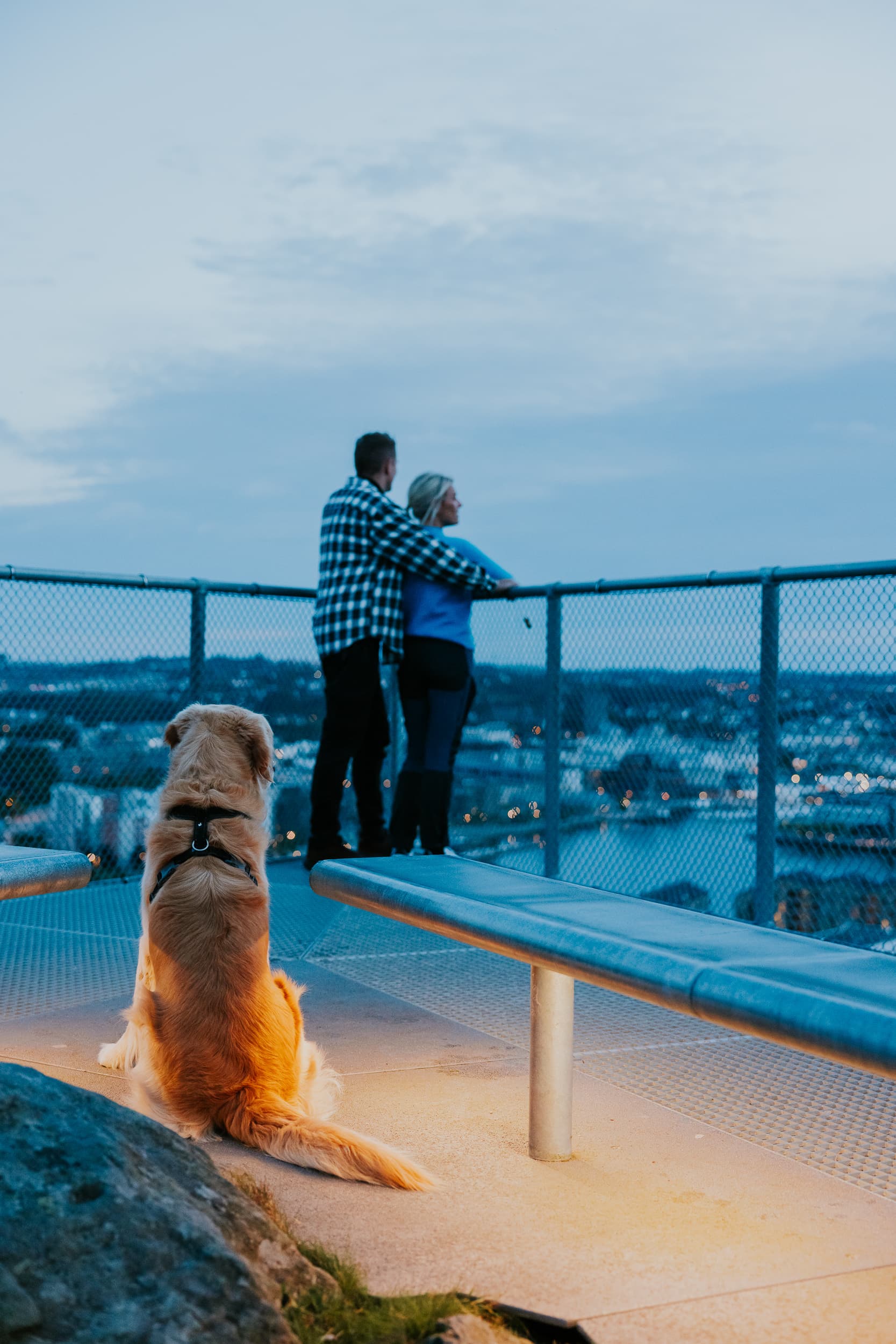 Two people and a dog walking up the stairs to the mountain Hanafjellet. The stairs are called Hanatrappene. From the top the view shows Sandnes and fjord