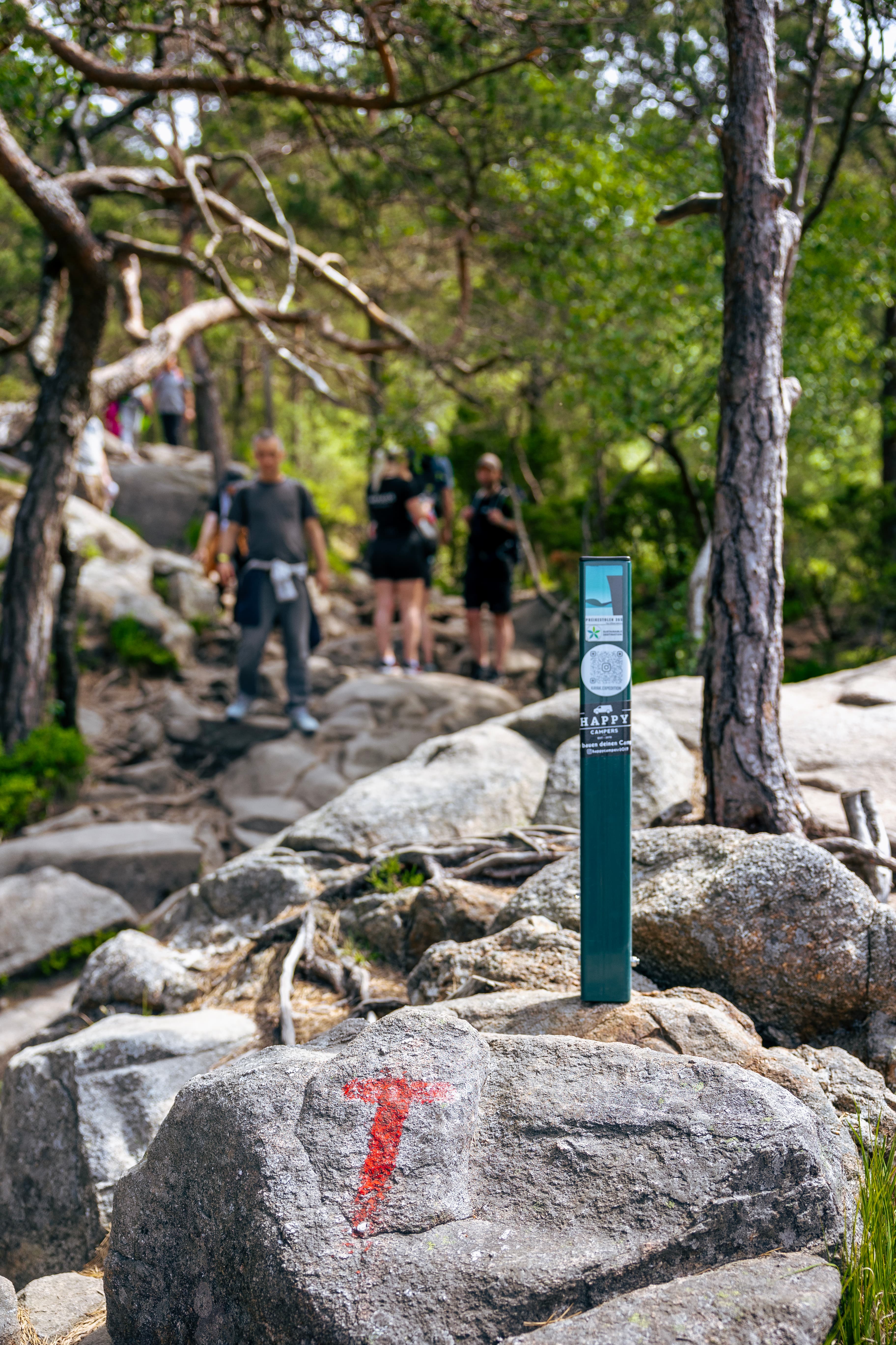 people hiking to preikestolen on path with stones and trees