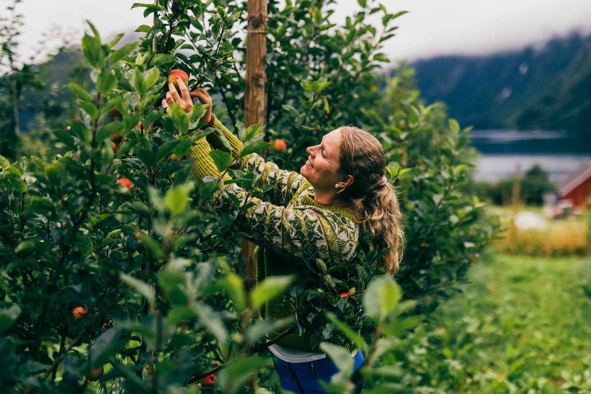 Inga Hodne Viddal på Hjørundfjord Fruktpresseri