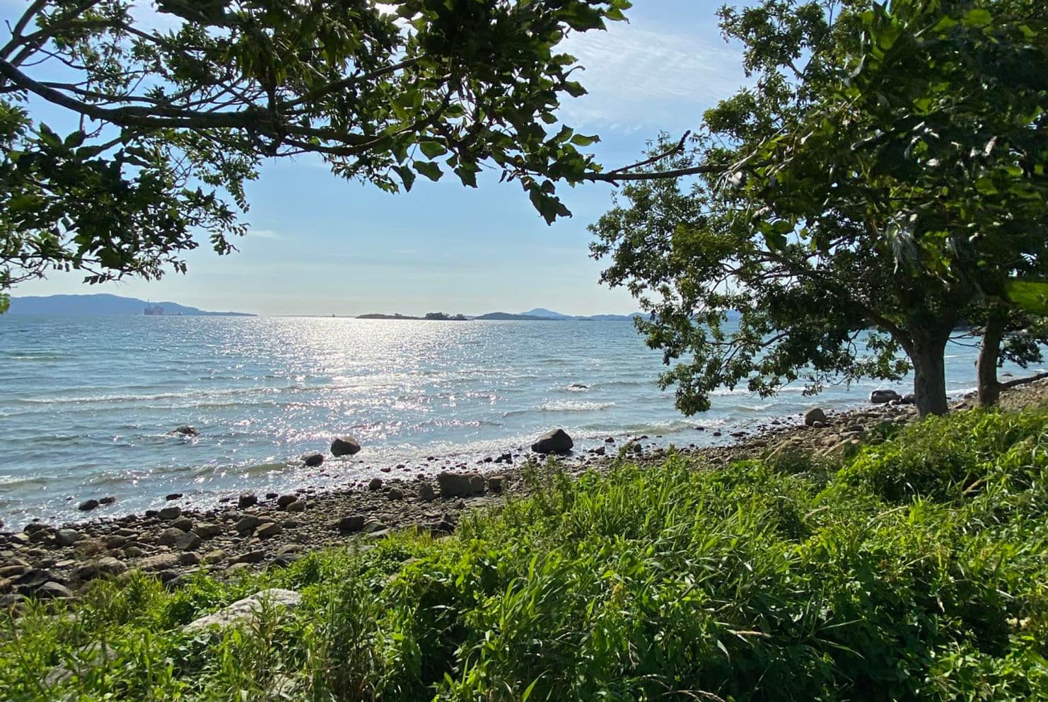 Foto av strand med lauvtre langs kanten, steinar i strandkanten, blå himmel og sol som sjev gjenskin i bølgene.