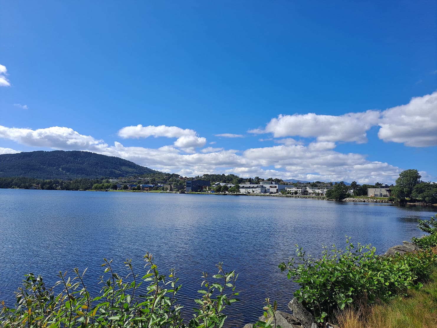 Foto av vatn med bebyggelse, fjell, blå himmel og litt kvite skyer