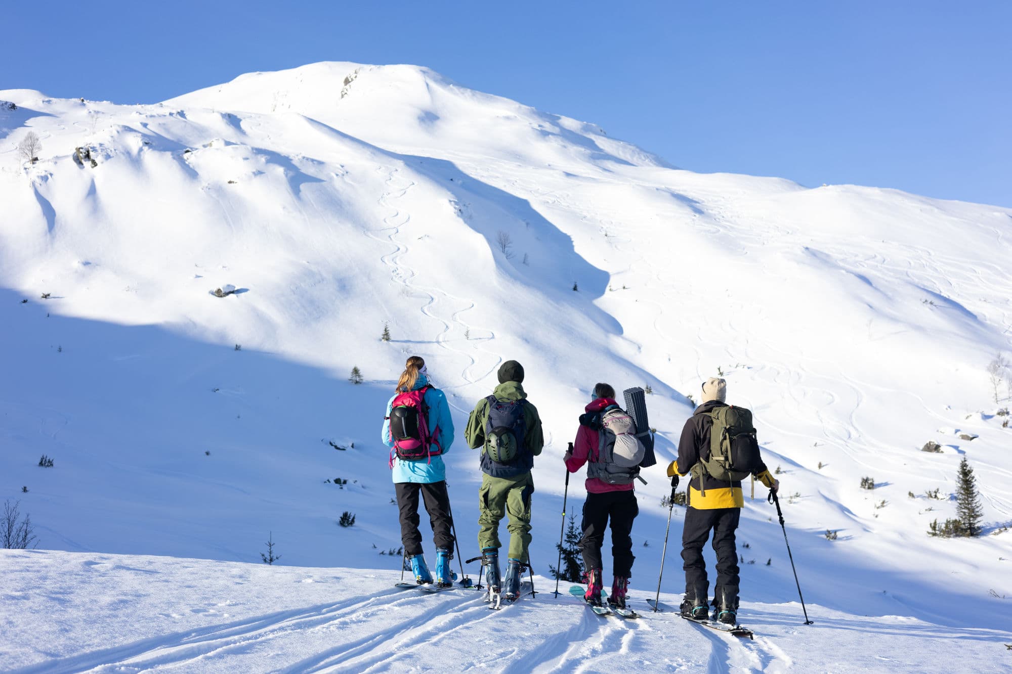 fire personer står og ser oppover fjellet der dei har stått på ski nedover