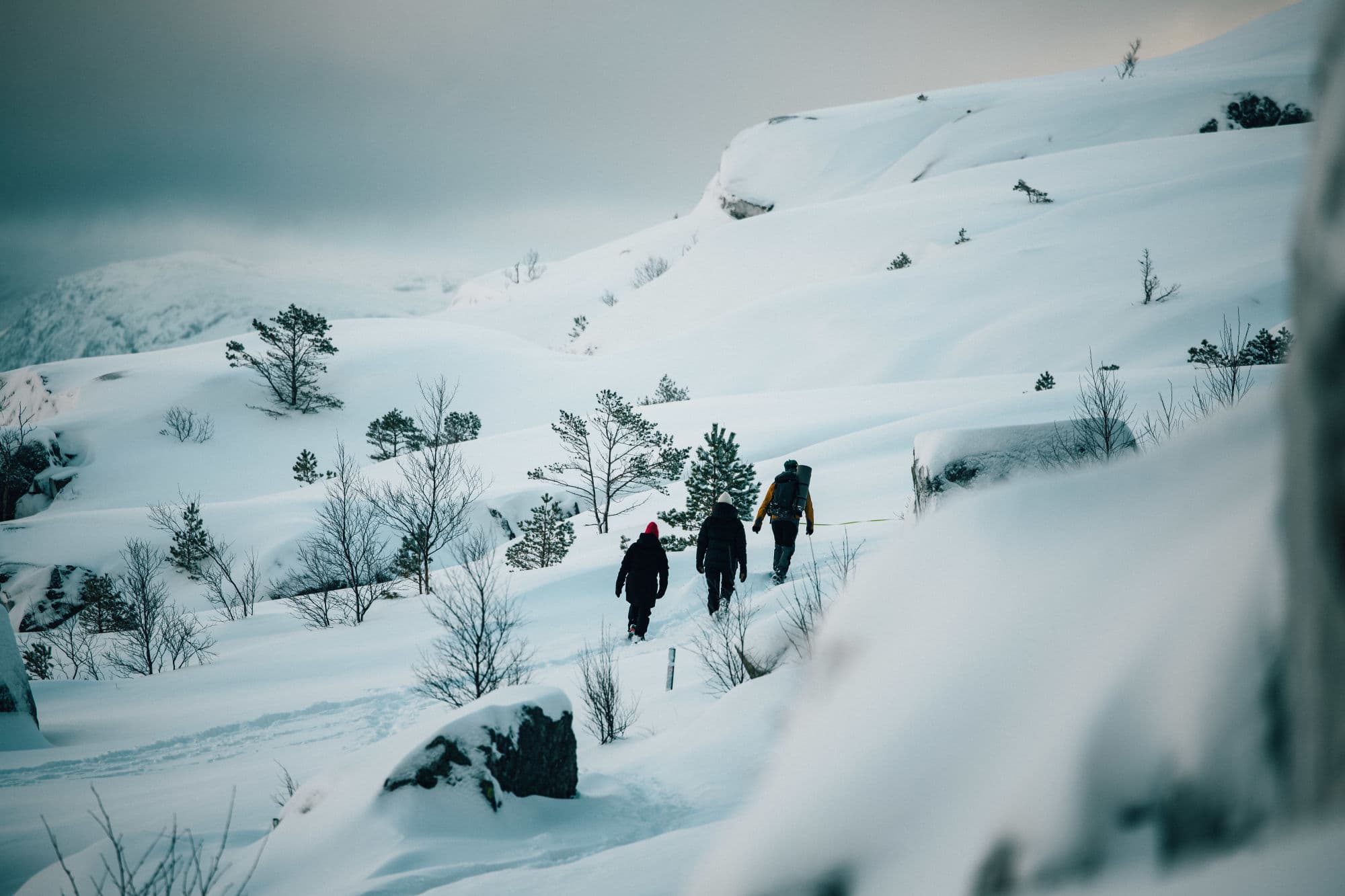 winter scenery in the stavanger region, fjords, preikestolen, skiing in sirdal