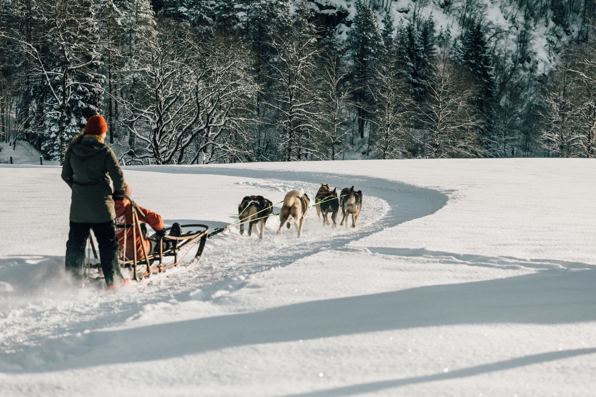winter scenery in the stavanger region, fjords, preikestolen, skiing in sirdal