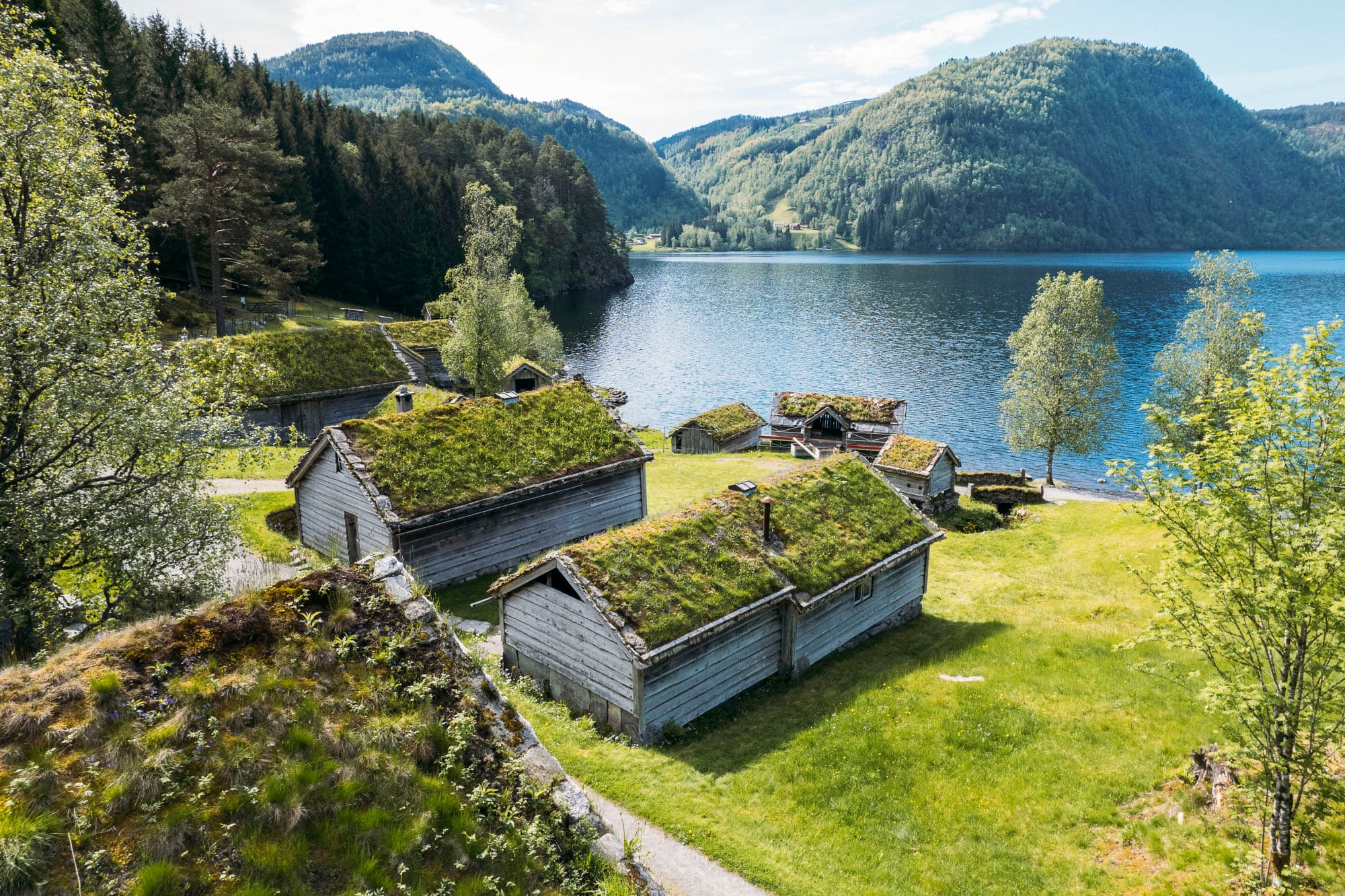 museumshus med gress på taket. det er bjørketre rundt husa, og husa ligg nærme fjorden med fjella i bakgrunnen. det er grønt gras rundt.