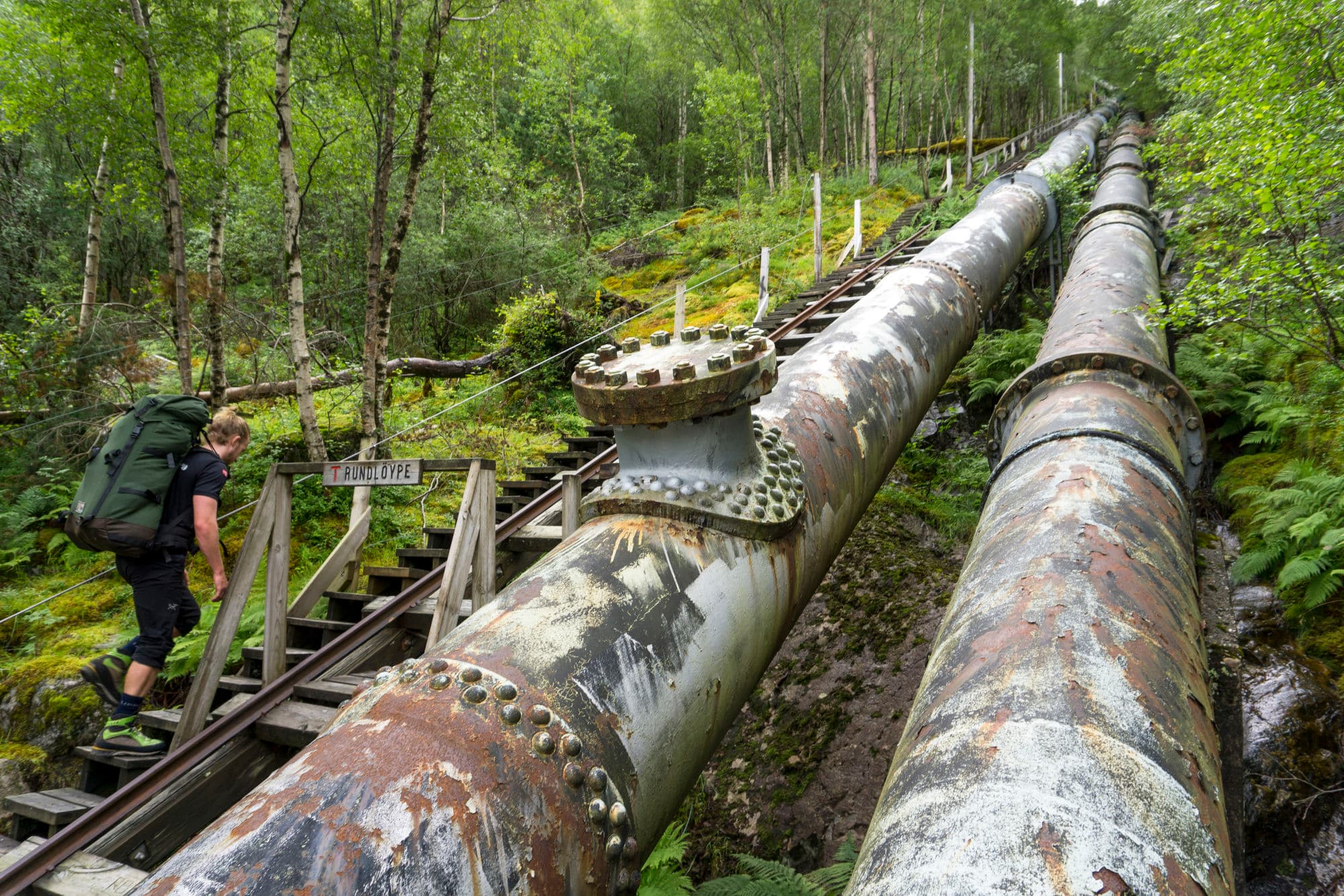 mountains, fjords, views, hikes