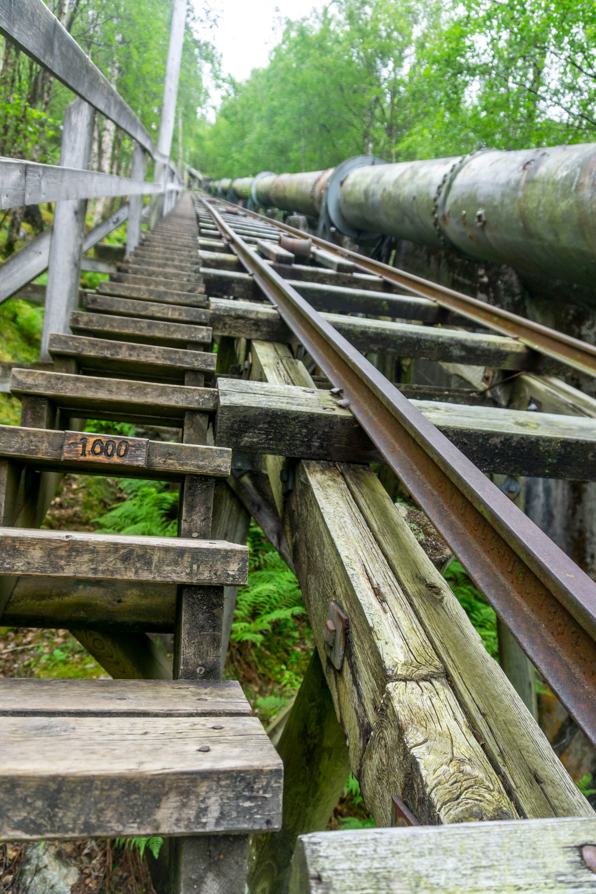 mountains, fjords, views, hikes