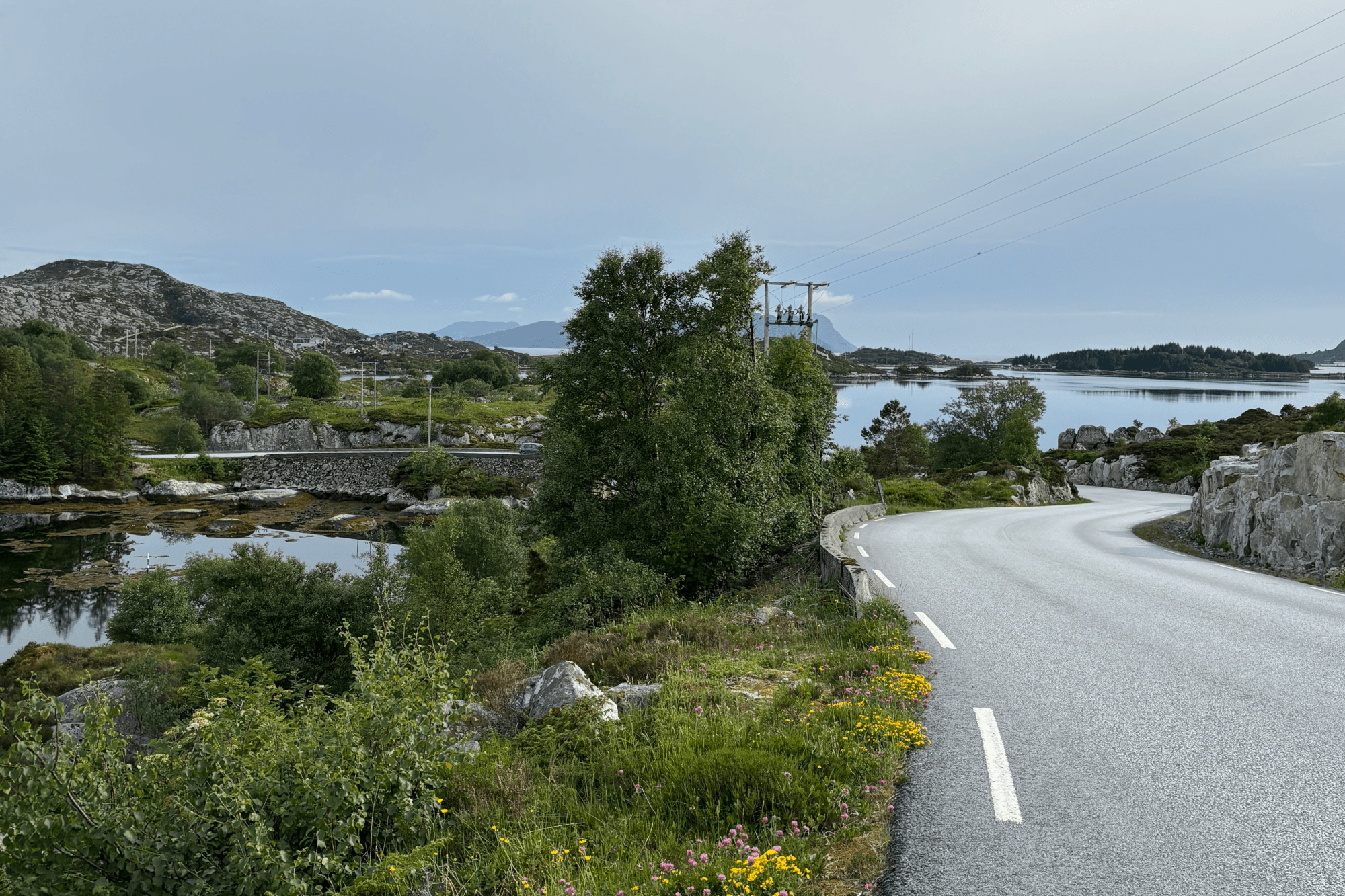 ein veg svinger seg gjennom landskapet. det er sommar ute, med grønne trær, blomster og gress. det er sjø i enden av vegen