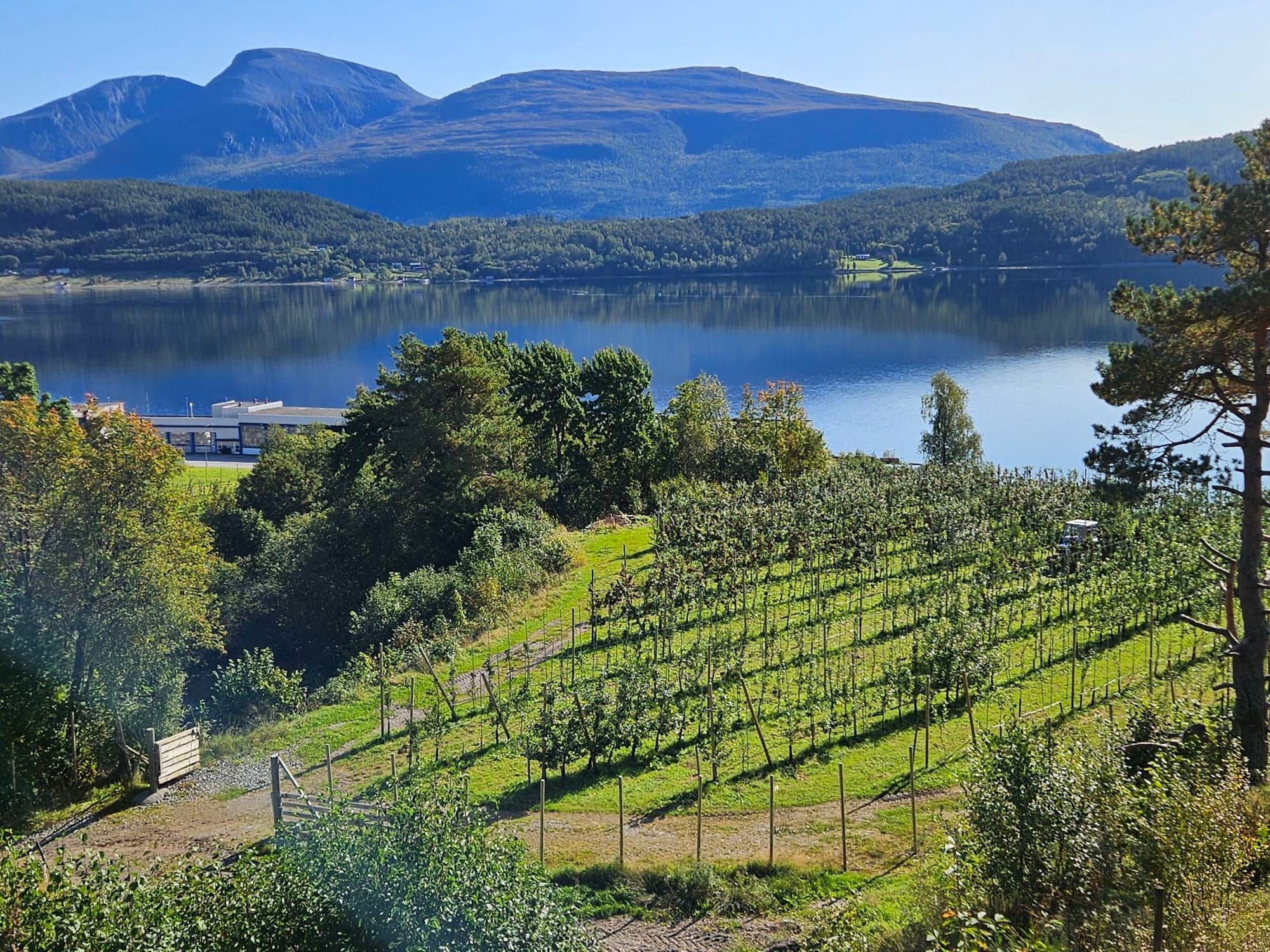 Nydelig beliggende Reina Fruktgård