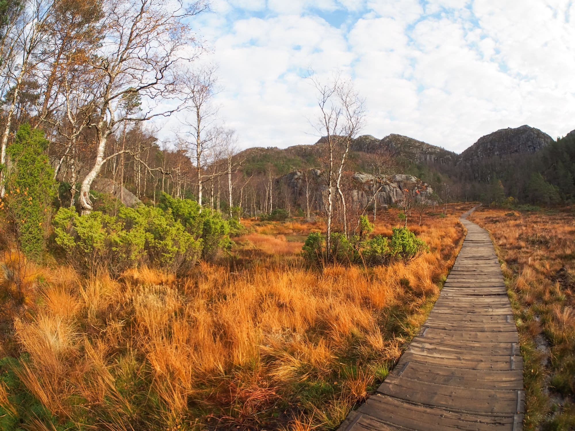 Autumn colours on the way to Preikestolen