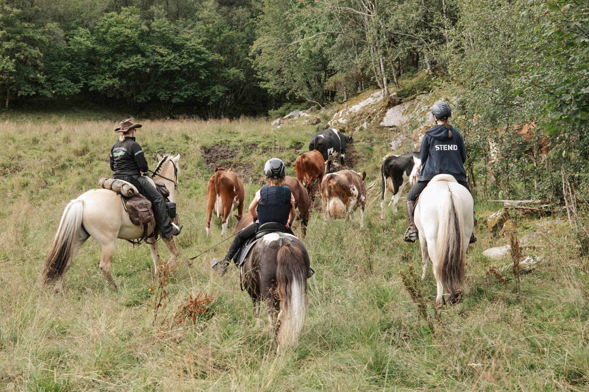 tre hester med personer på geleider fleire kyr mot ein stad. det er gras under dei, og ein skog foran det