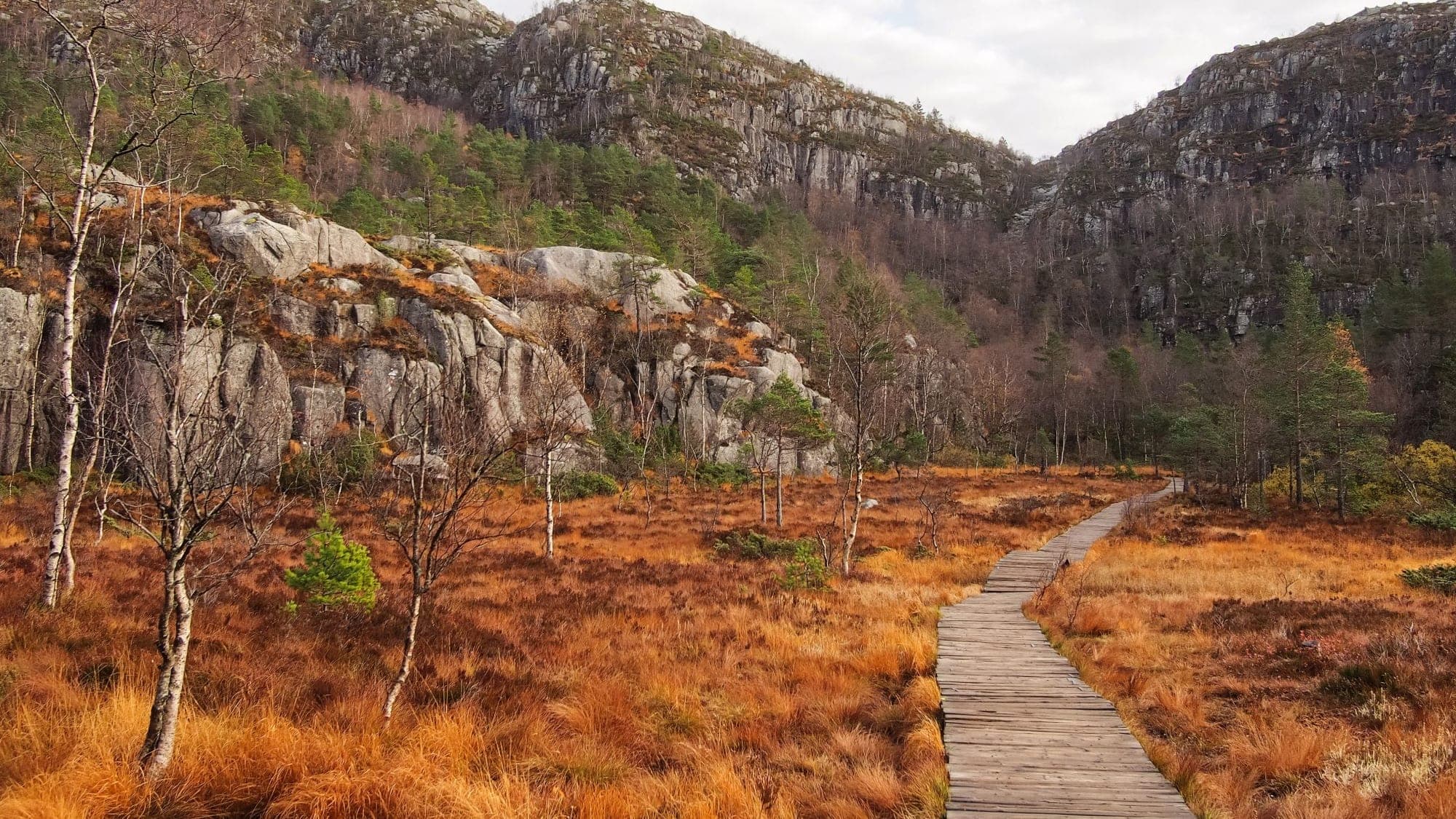 Autumn colours, mountains and green on the hiking trail to Preikestolen.