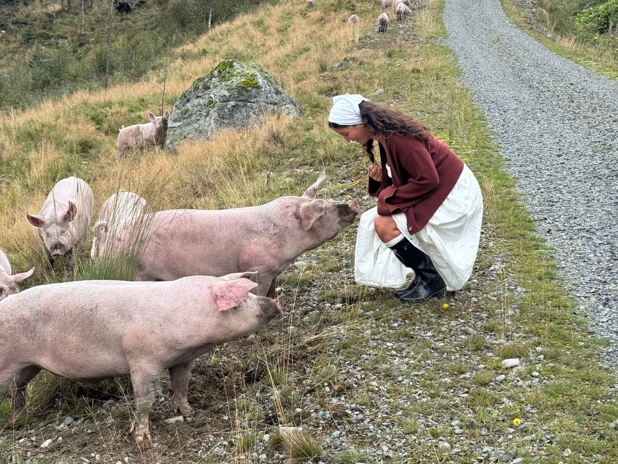 Røysland Gardsutsalg, Nyyyt