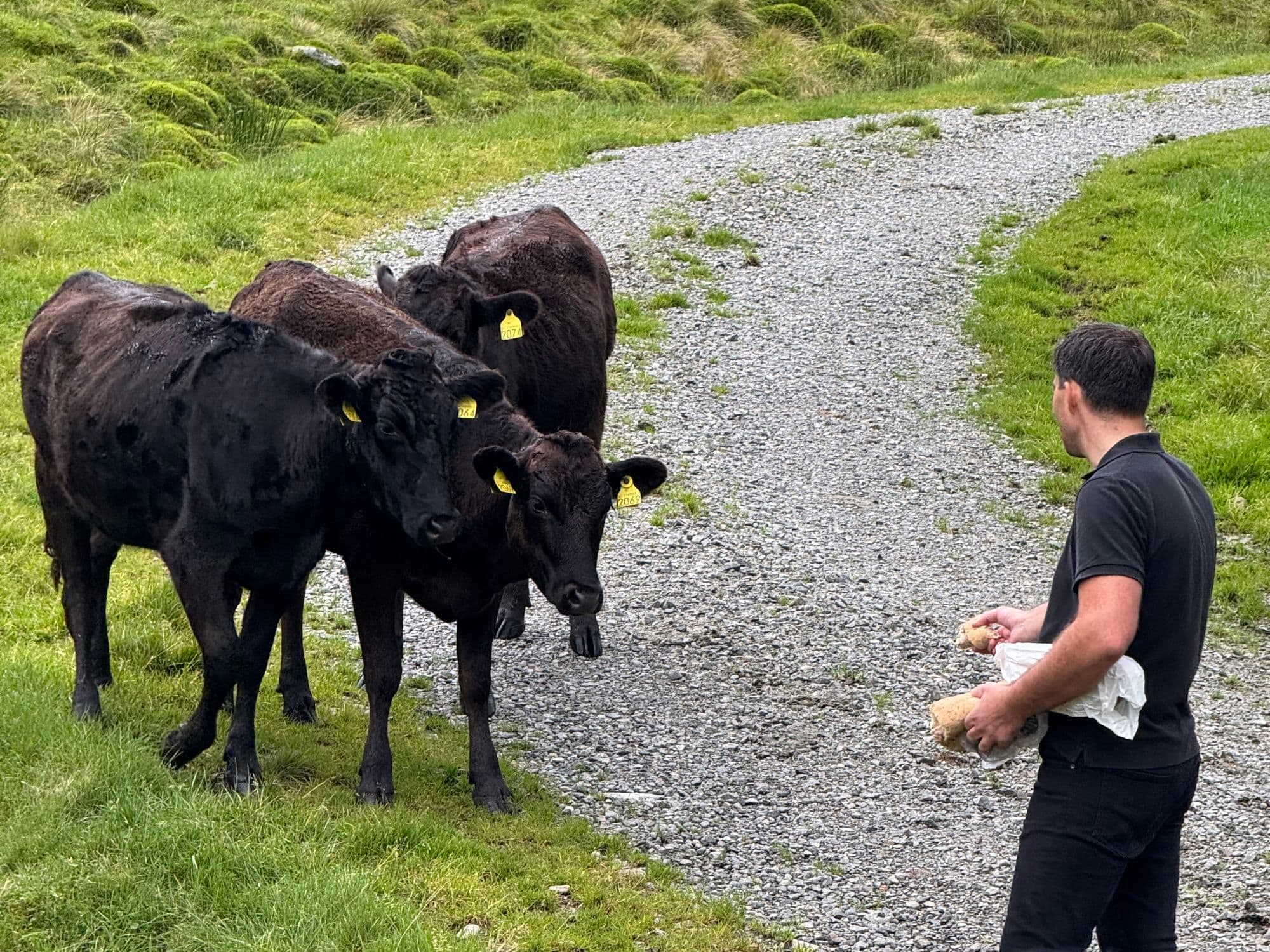 Røysland Gardsutsalg, Nyyyt