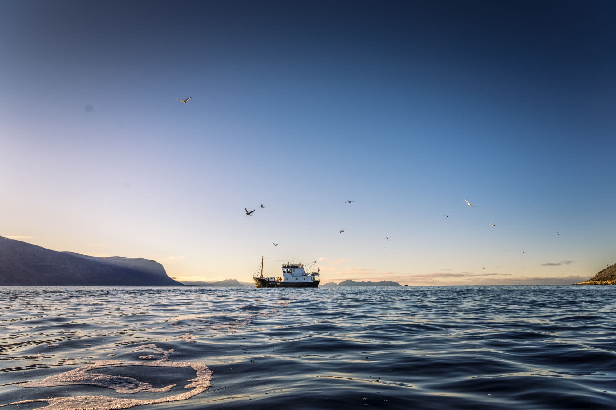 På fisketur i solnedgang ute ved havet.