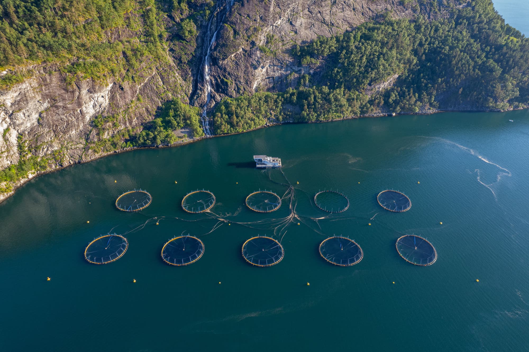 Flere fiskemærer i fjorden.
