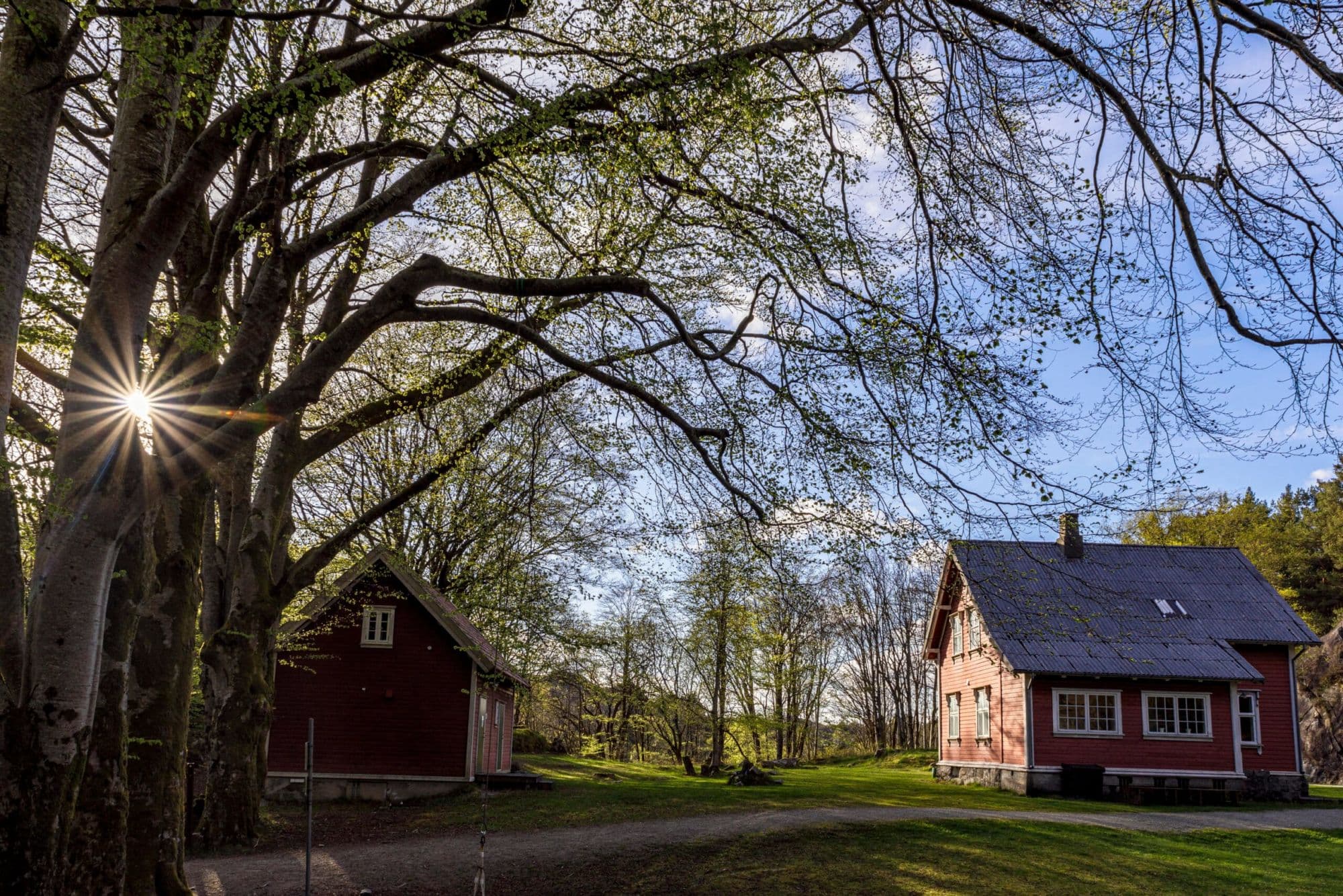 small red cottage that used to be a train station. Surrounded by greenery and green trees.