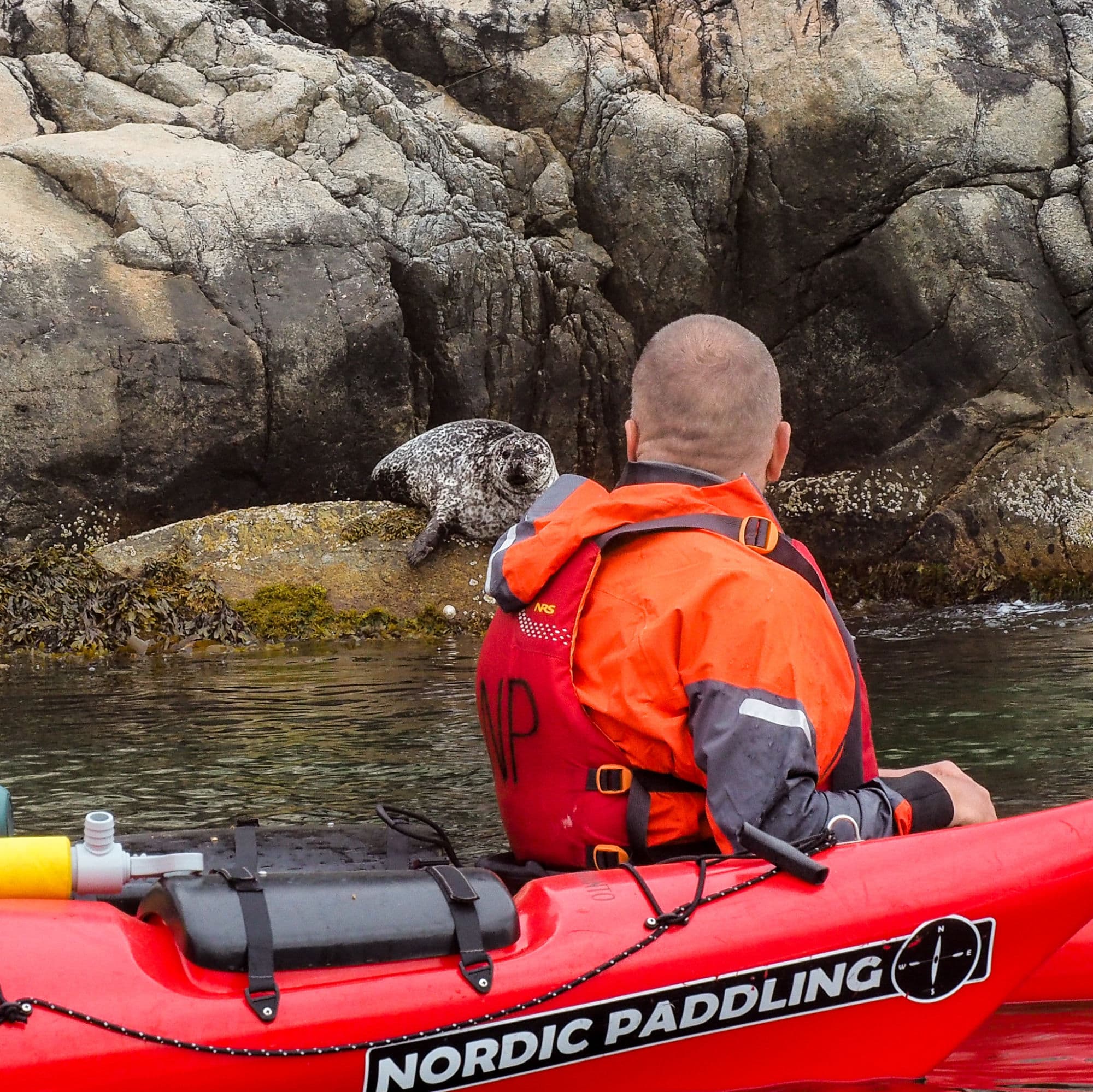 People kayaking in the Norwegian fjords