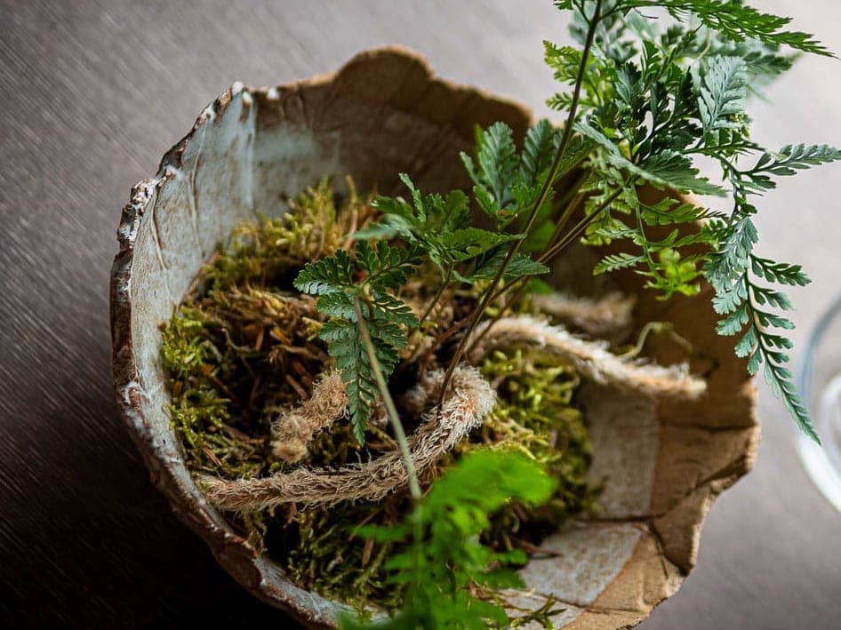 Food and people eating at restaurant Bellies - vegan restaurant