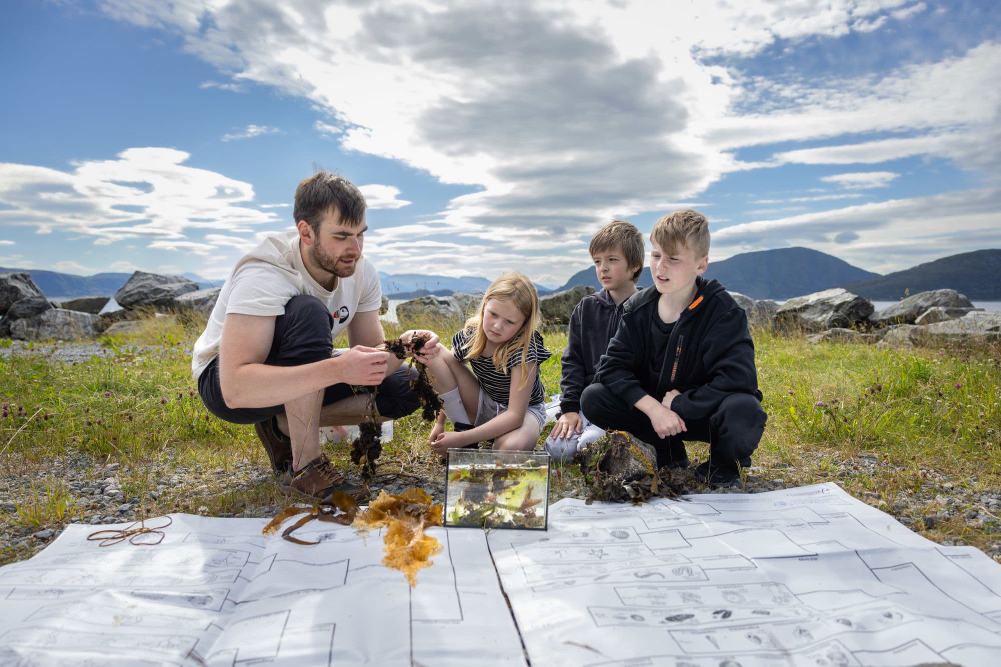 Sammenlign dine funn med oversikten og se hva du har funnet.