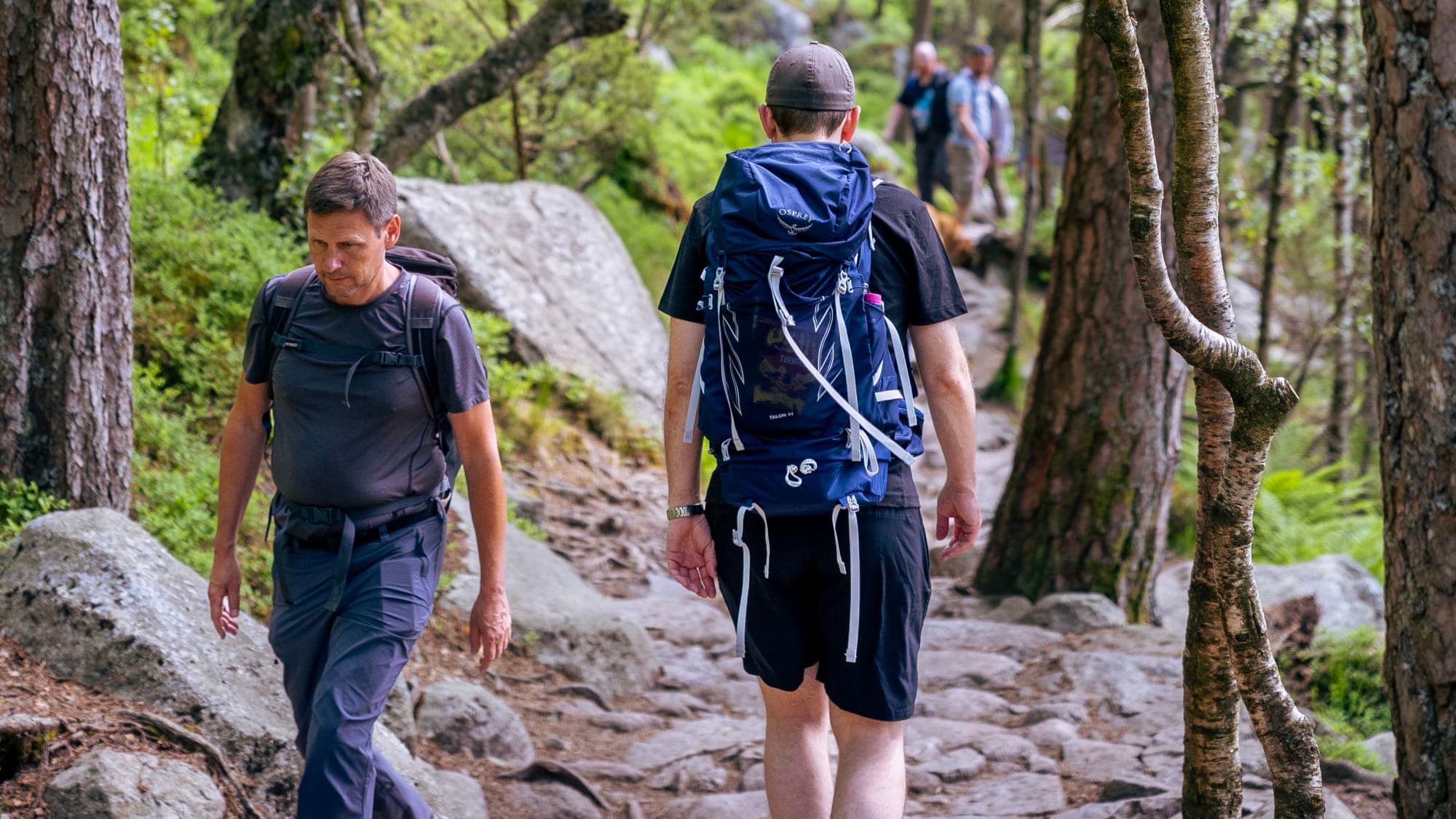 Hikers on the trail to Preikestolen